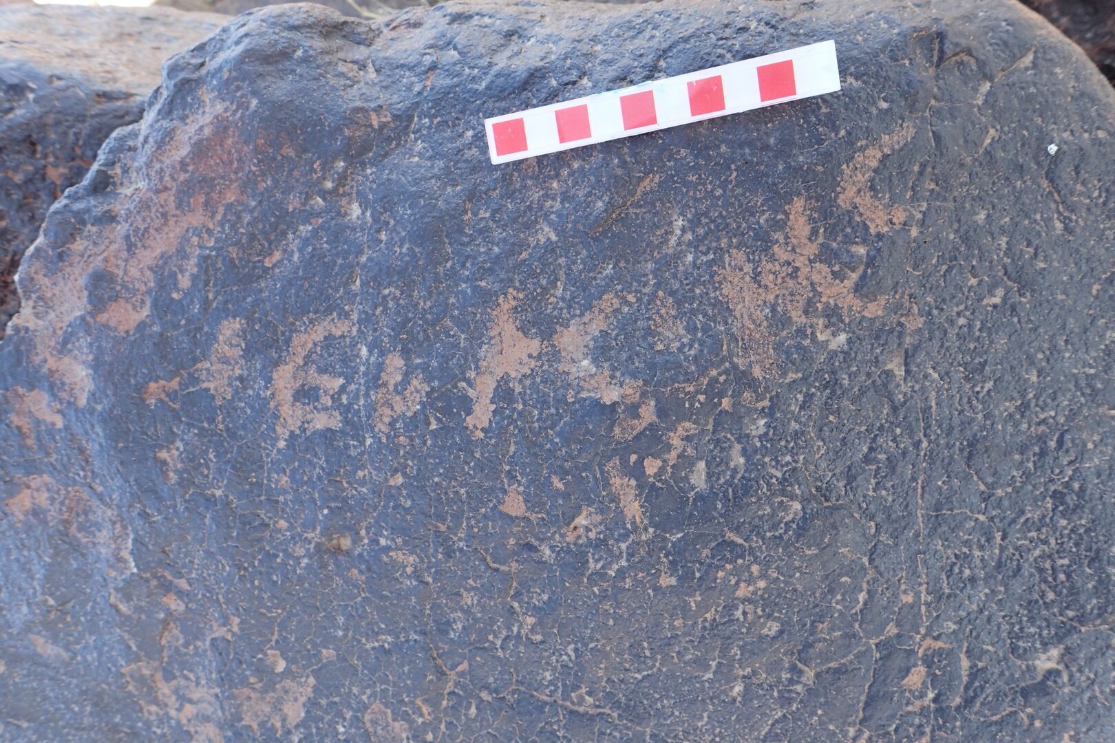 Image of siglum BES20 1576