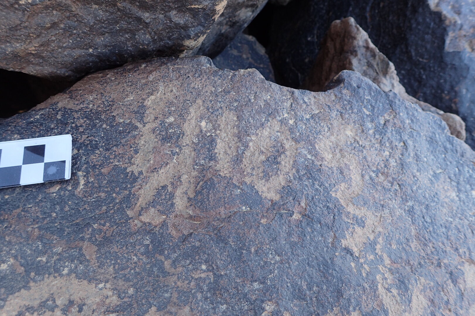 Image of siglum BES20 1578