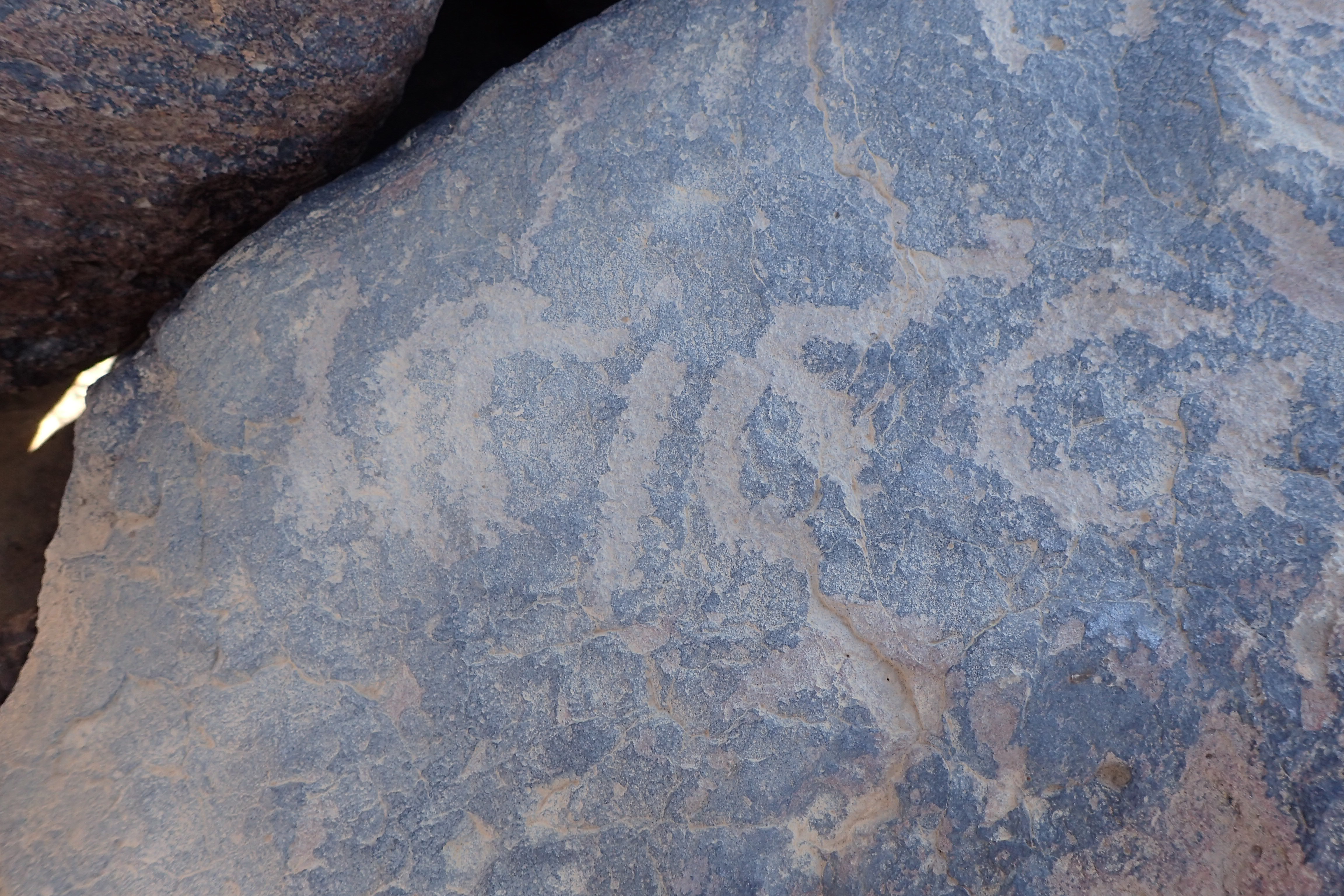 Image of siglum BES20 1581