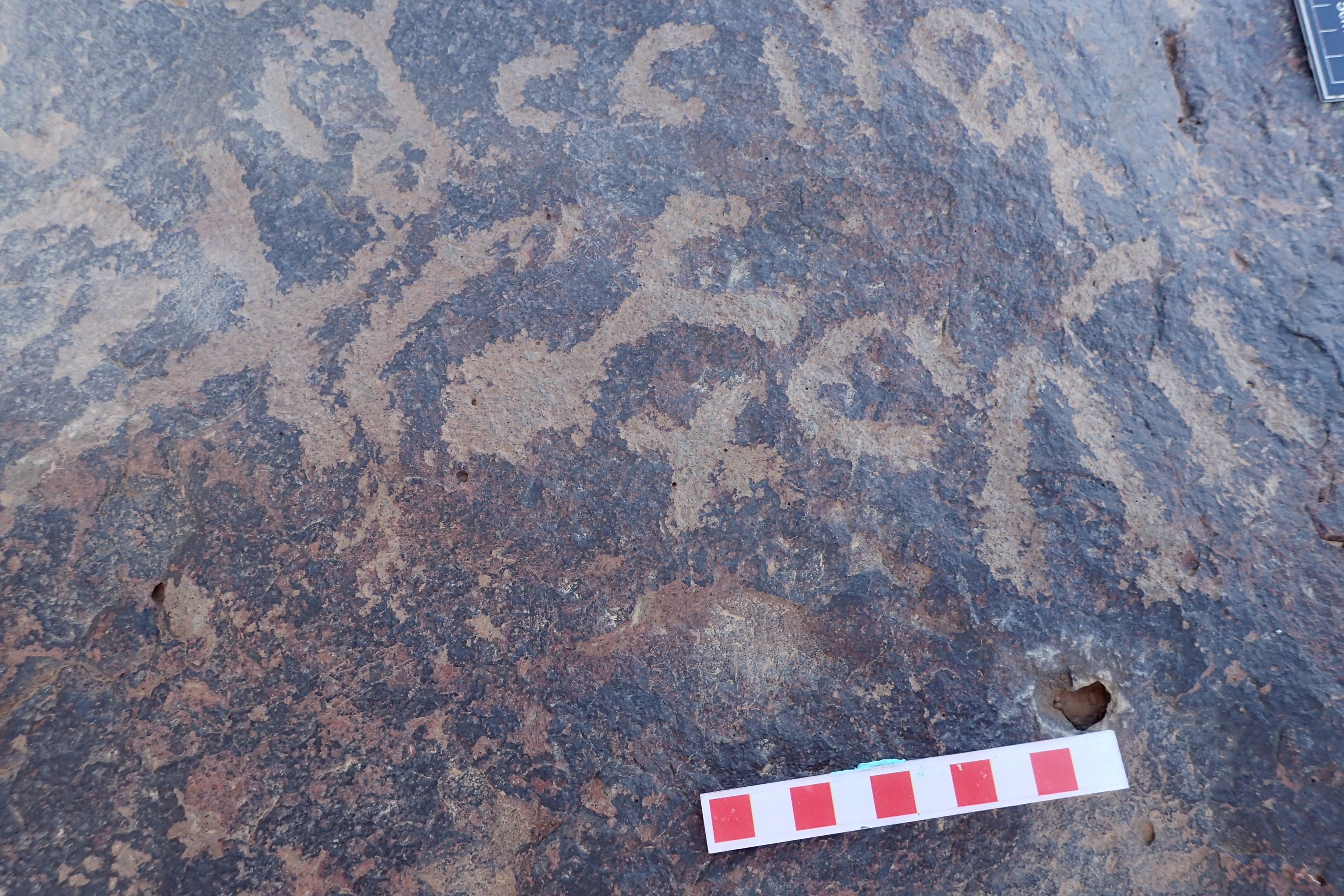 Image of siglum BES20 1581