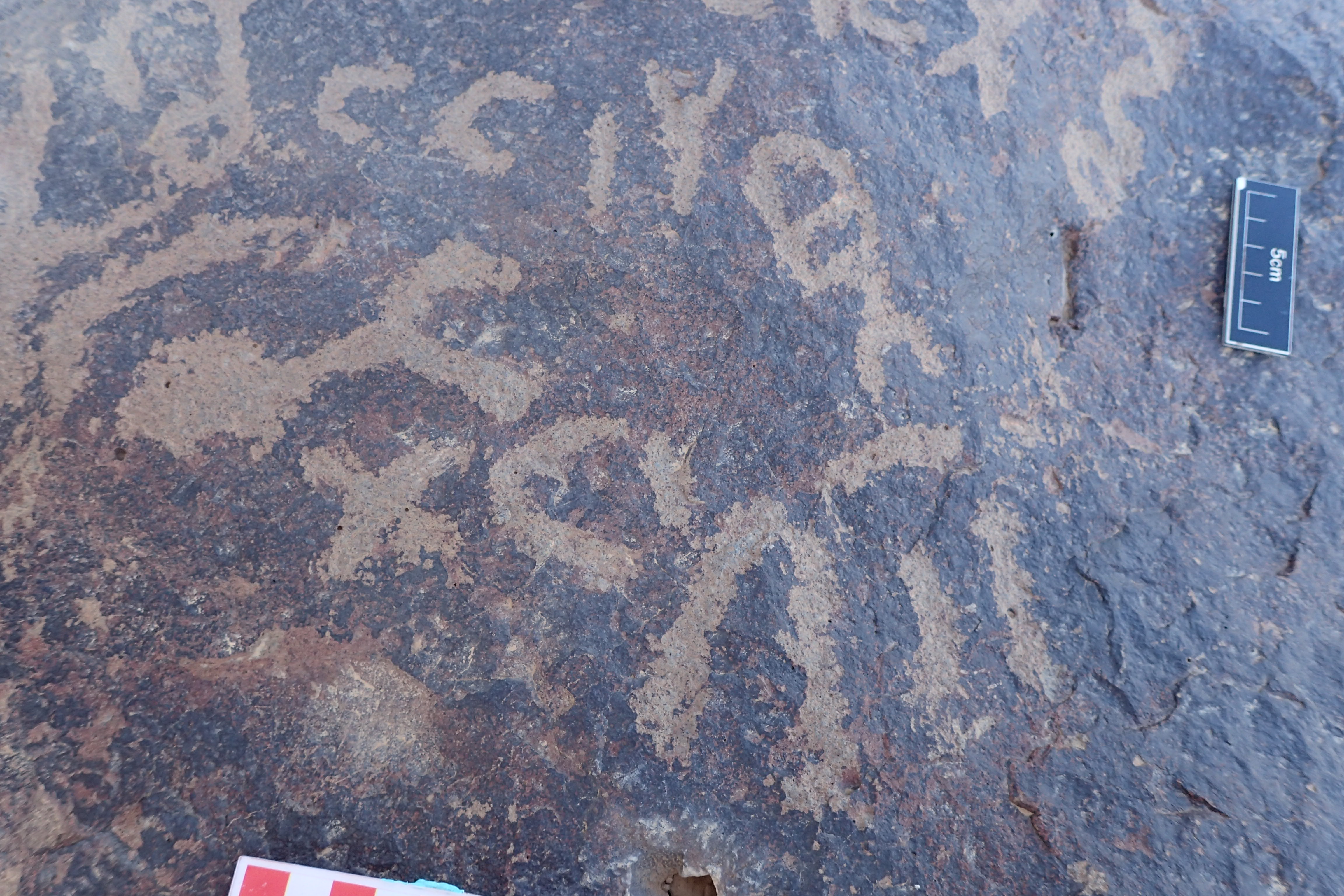 Image of siglum BES20 1581