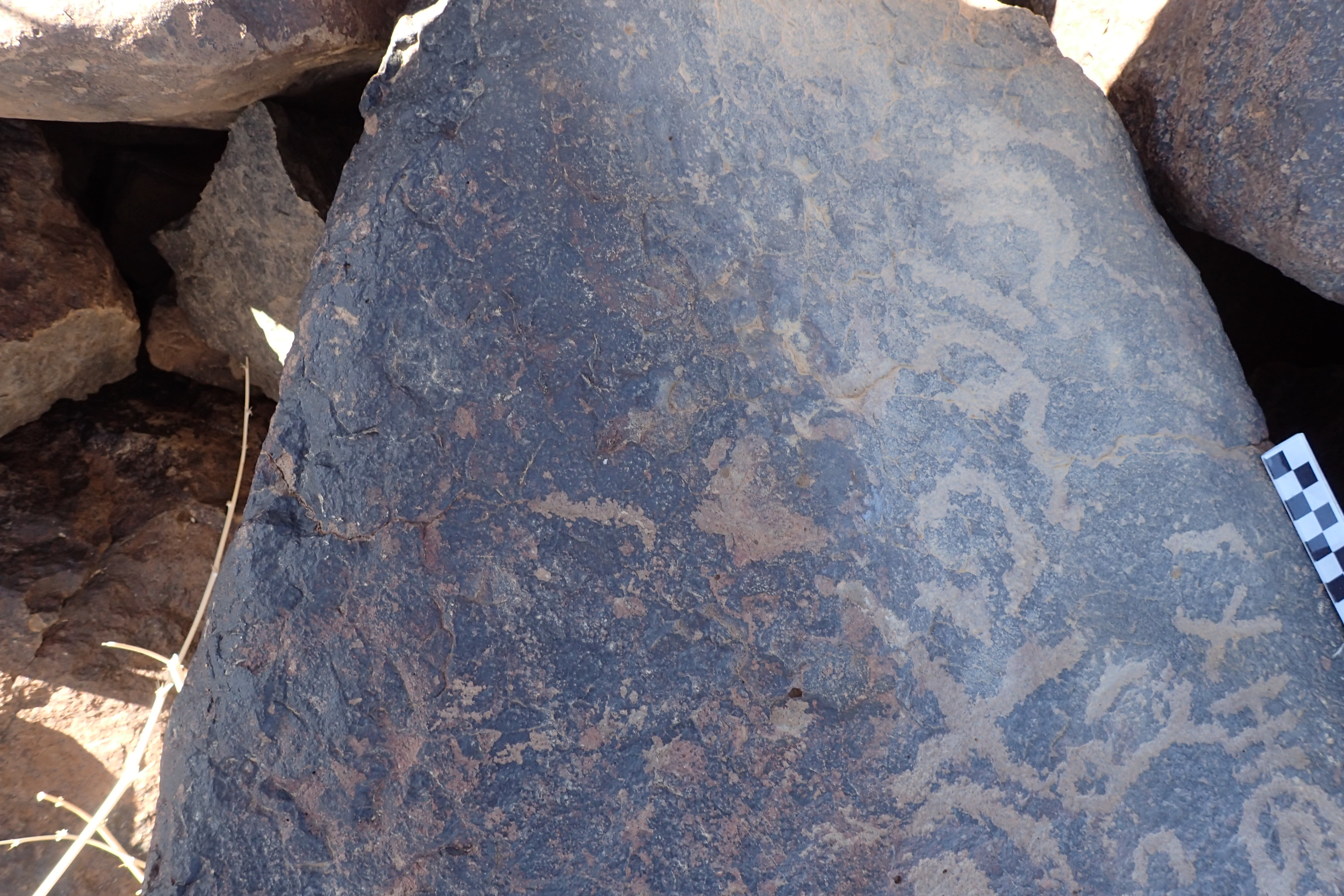 Image of siglum BES20 1581