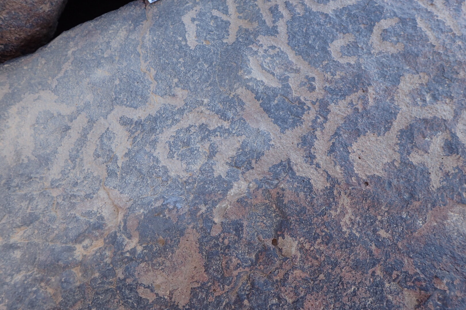 Image of siglum BES20 1581