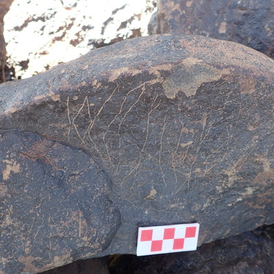 Image of siglum BES20 1582