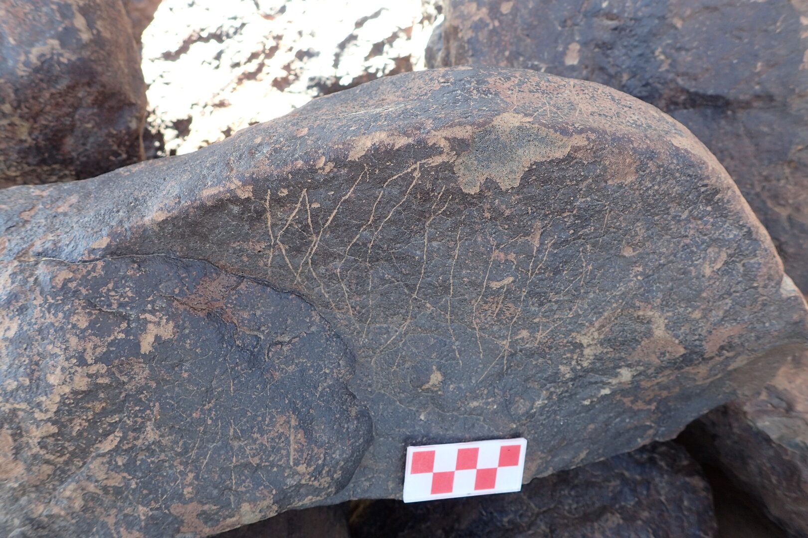 Image of siglum BES20 1582