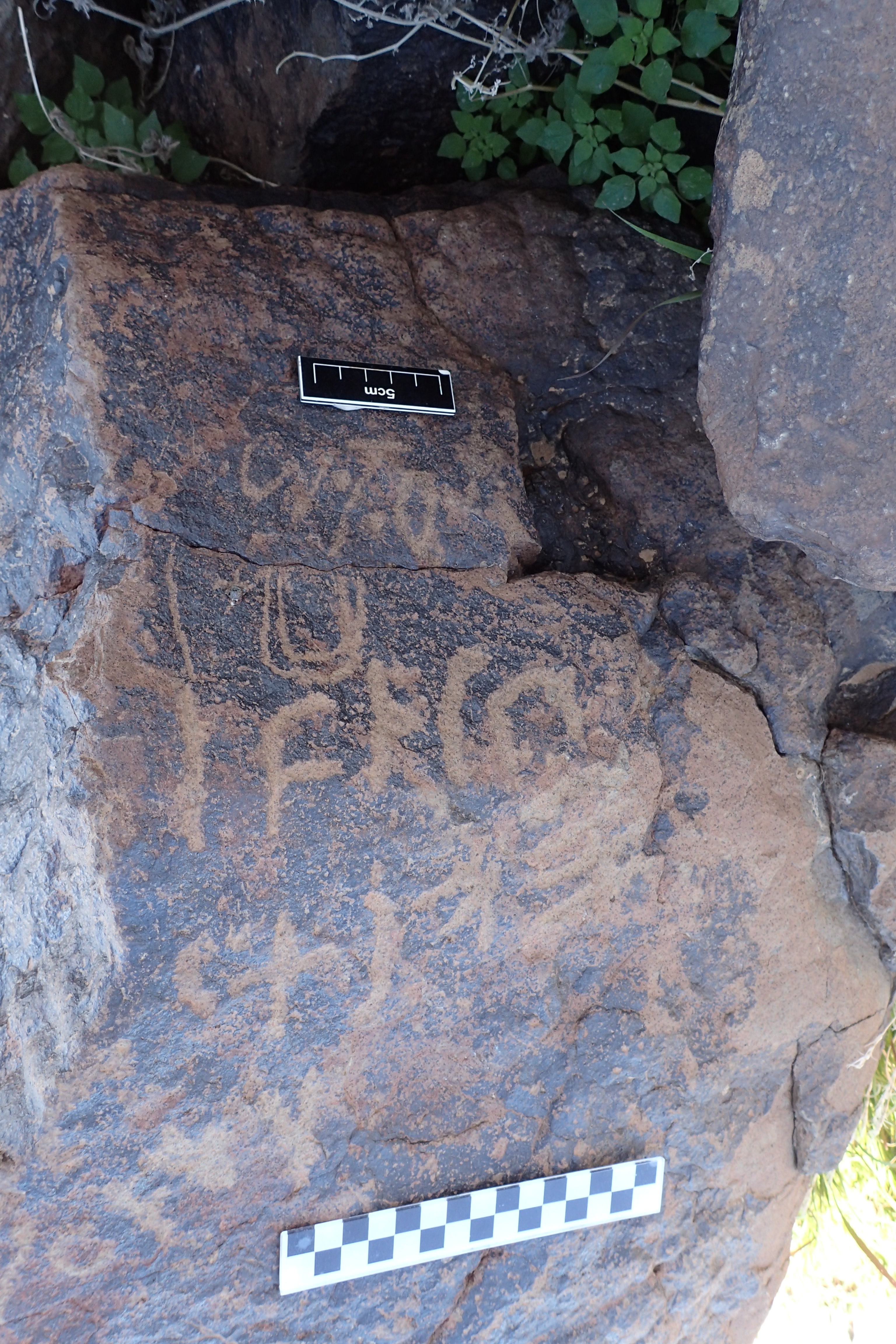 Image of siglum BES20 1585