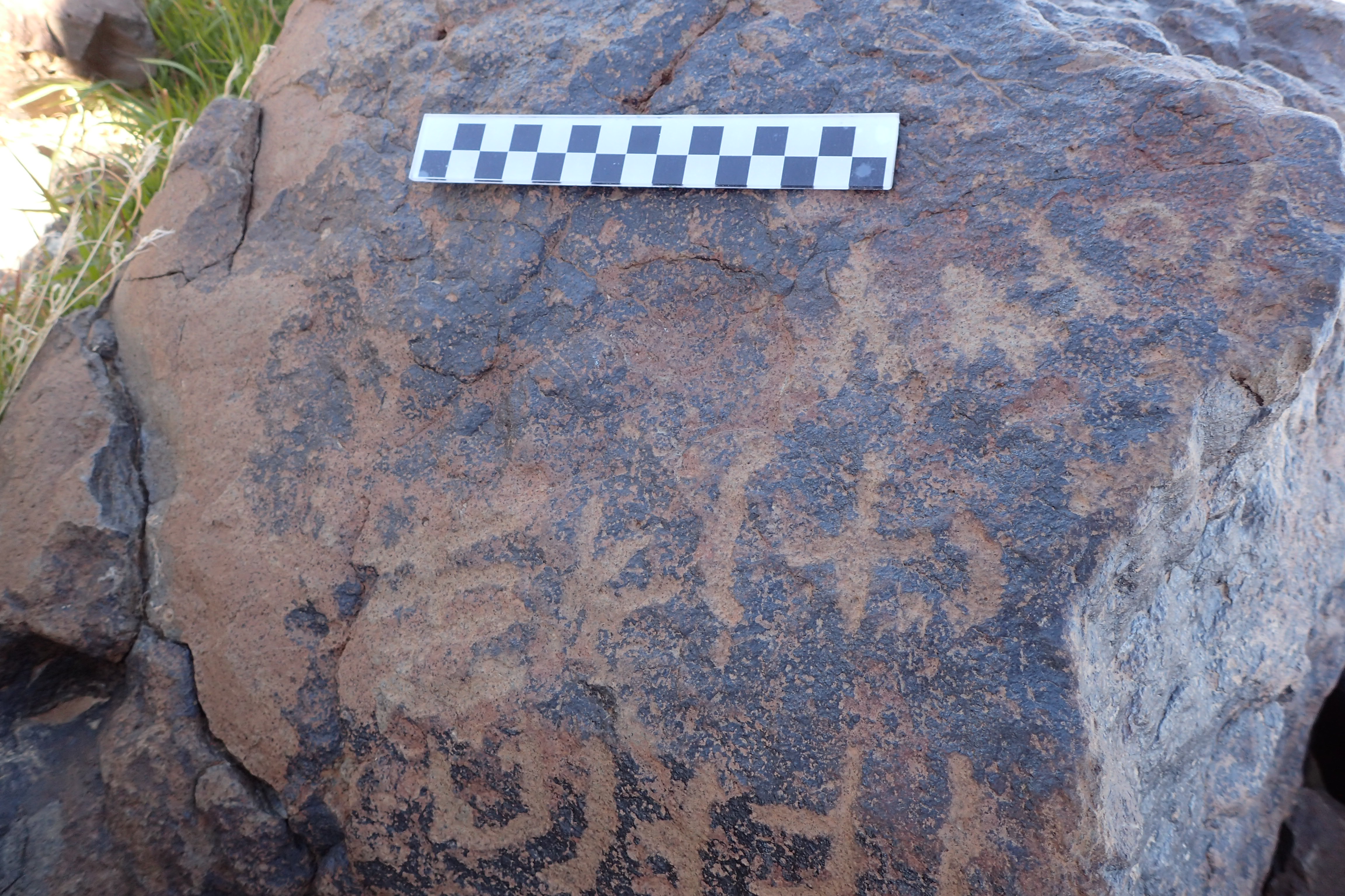 Image of siglum BES20 1585