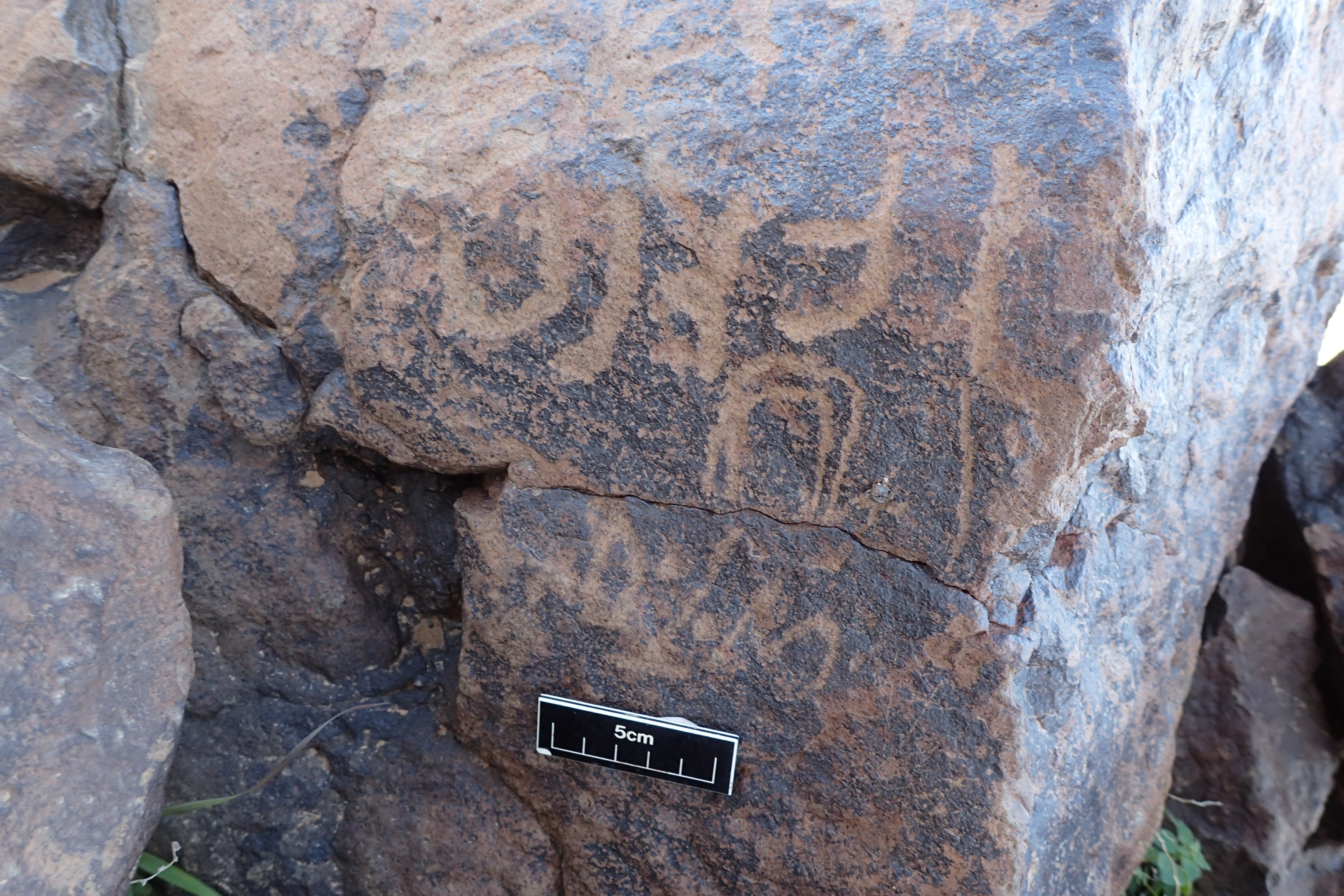 Image of siglum BES20 1585