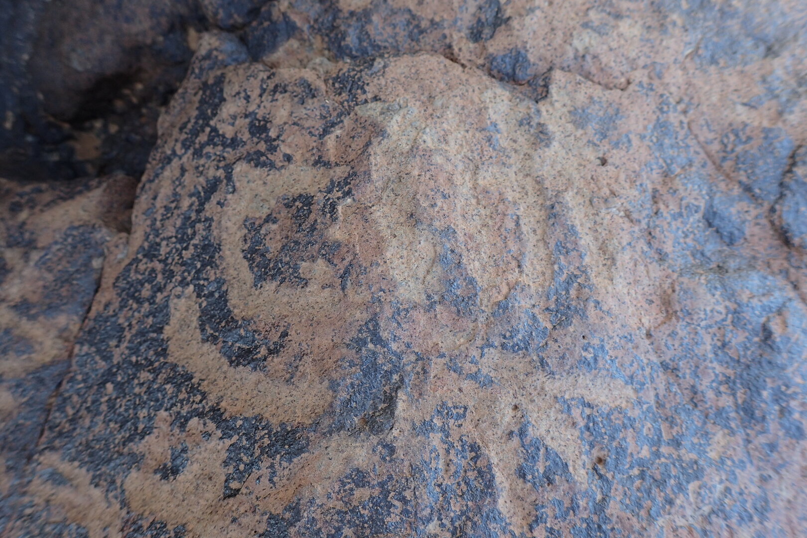 Image of siglum BES20 1585
