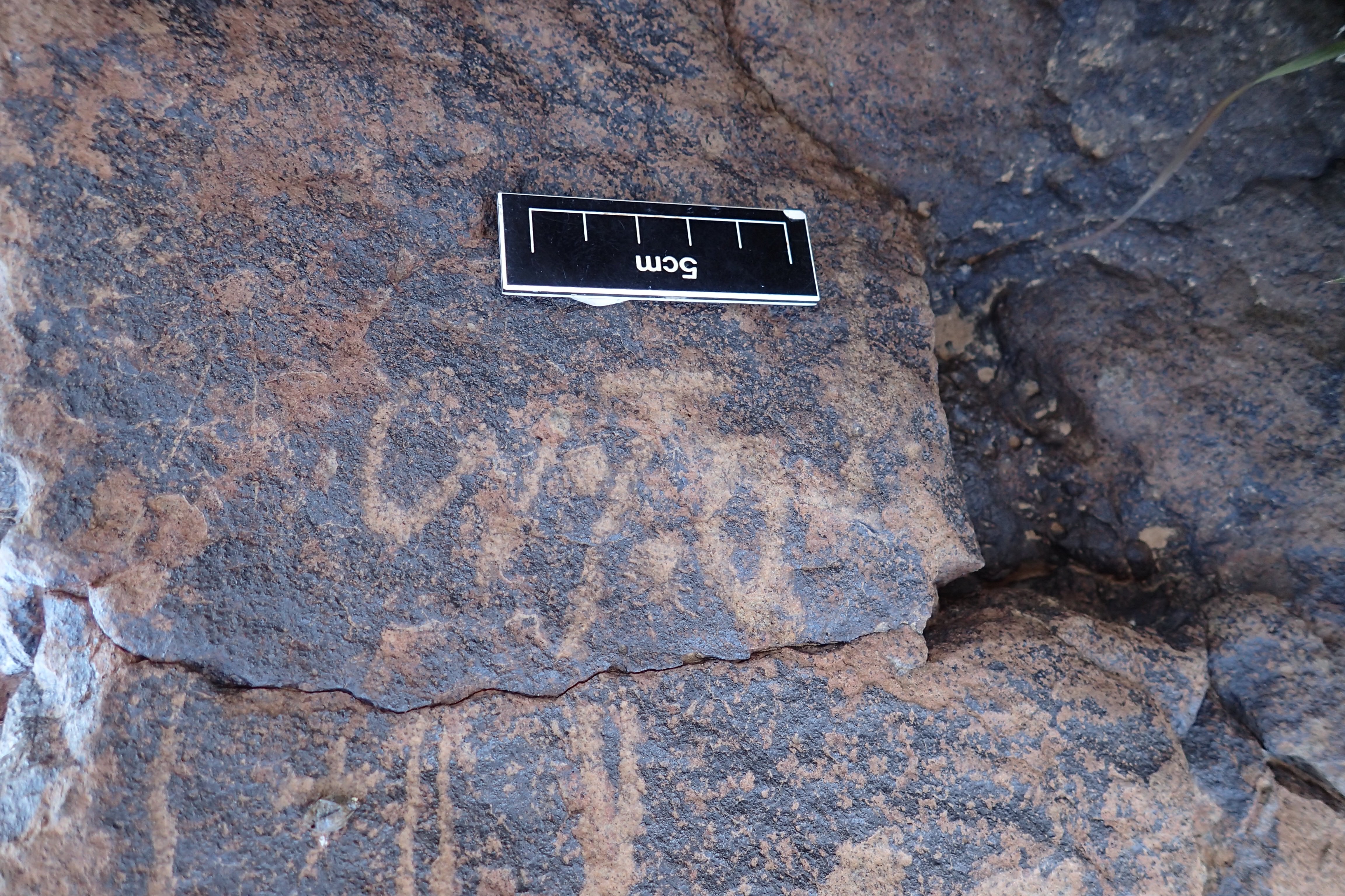 Image of siglum BES20 1586