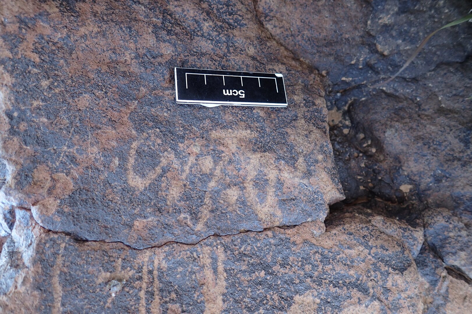 Image of siglum BES20 1586