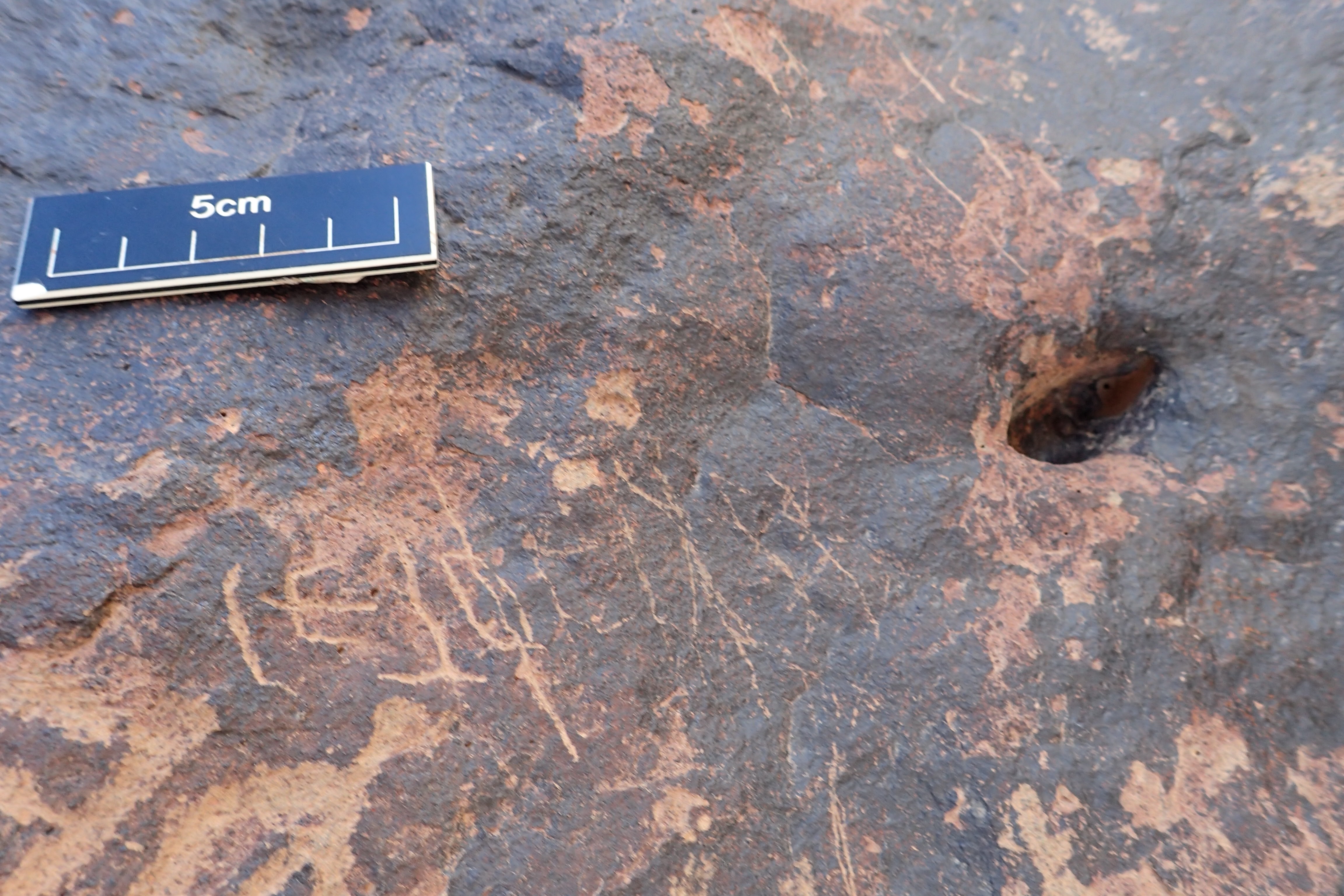 Image of siglum BES20 1589