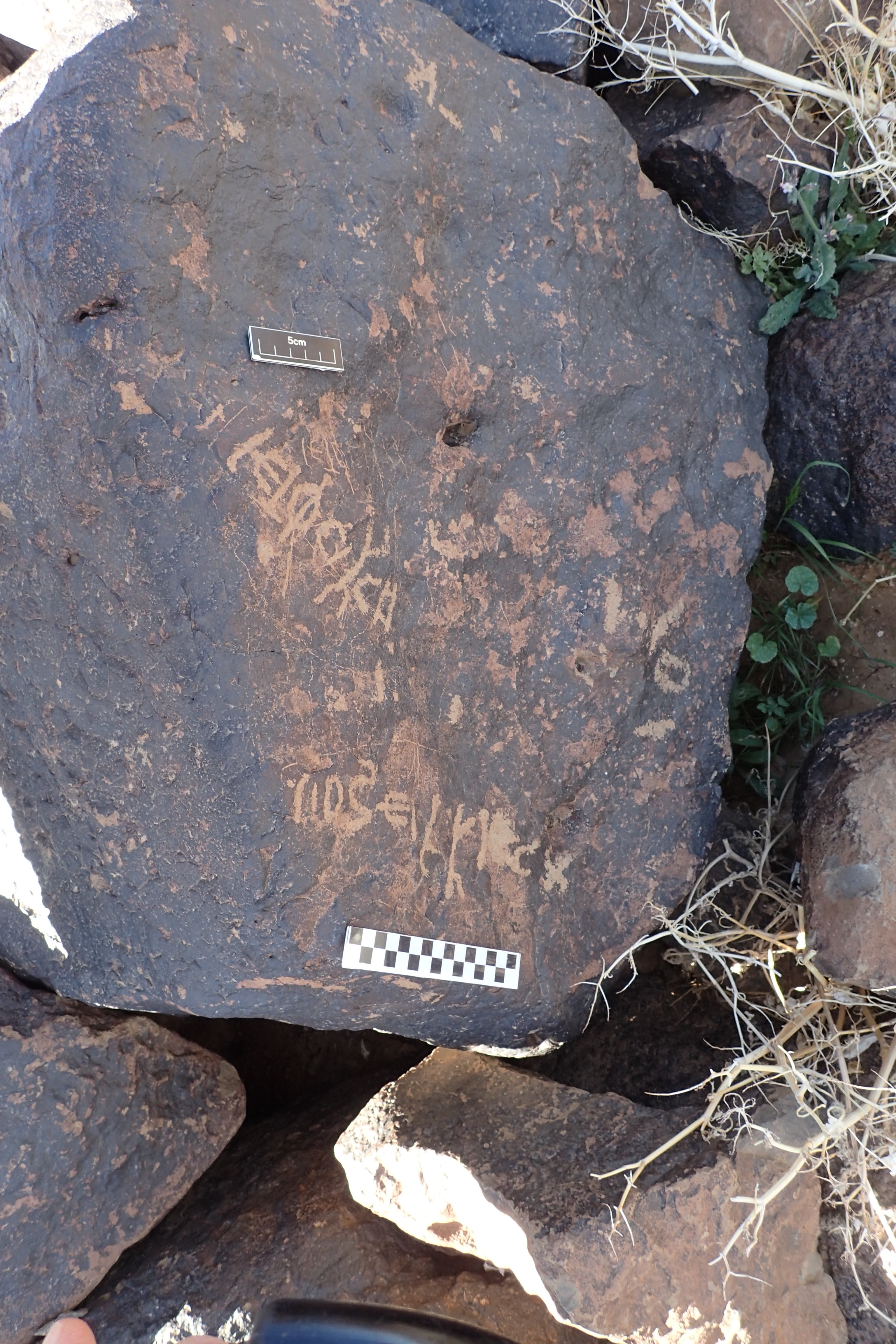 Image of siglum BES20 1590