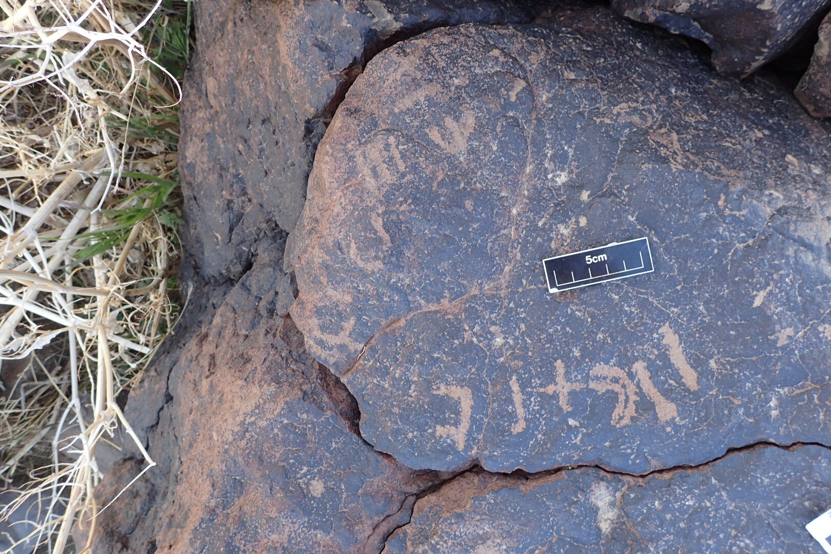 Image of siglum BES20 1592