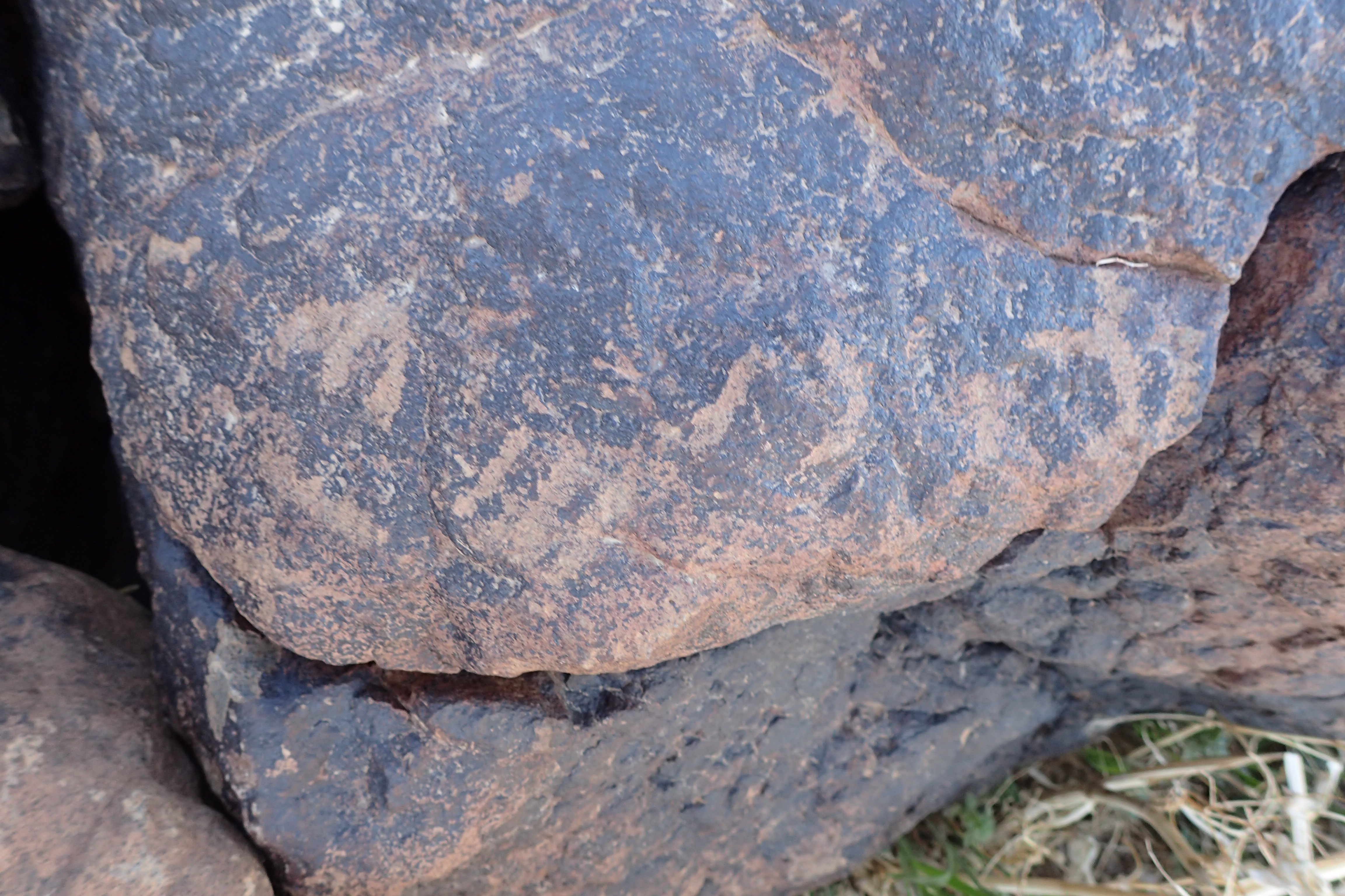 Image of siglum BES20 1593