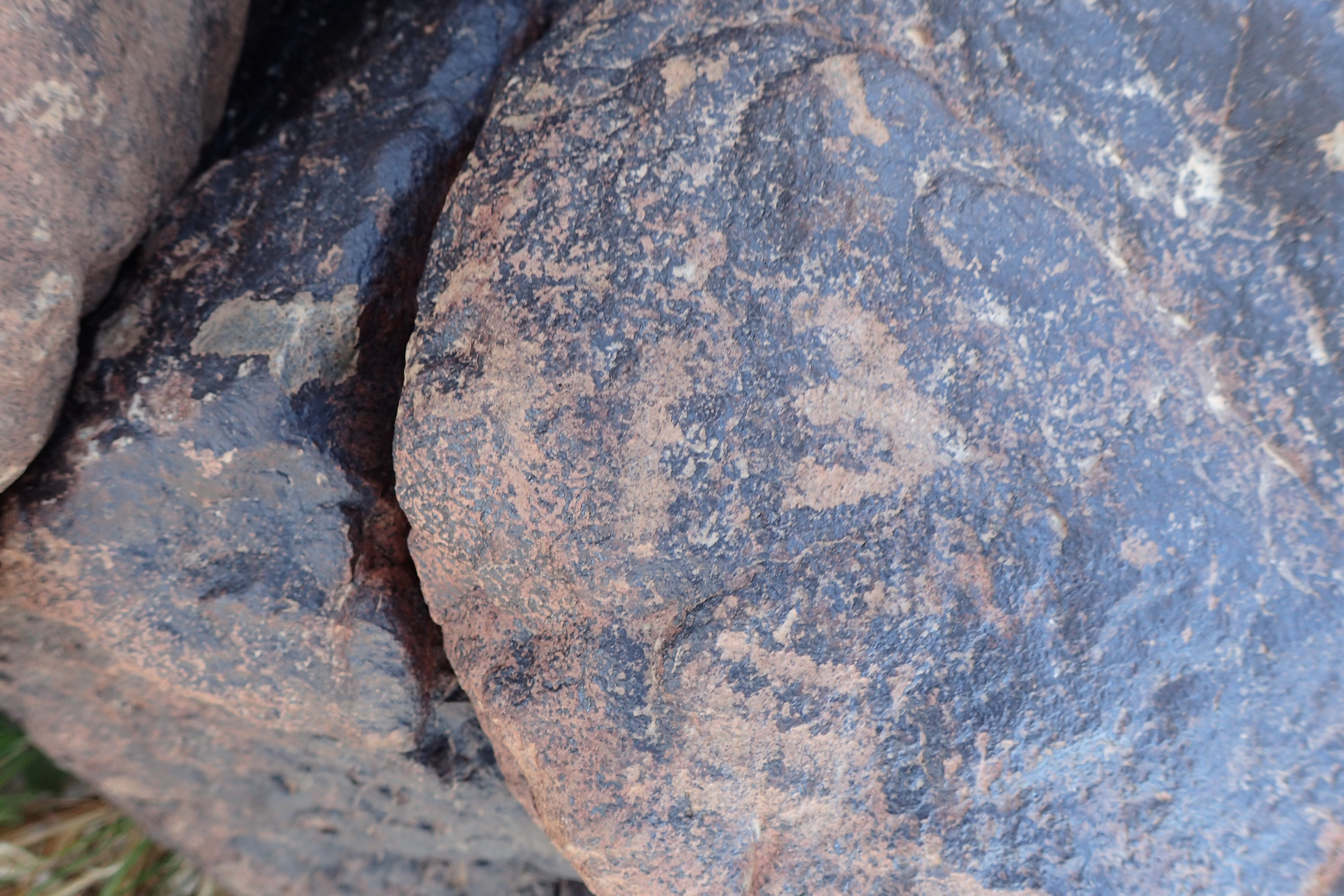 Image of siglum BES20 1593