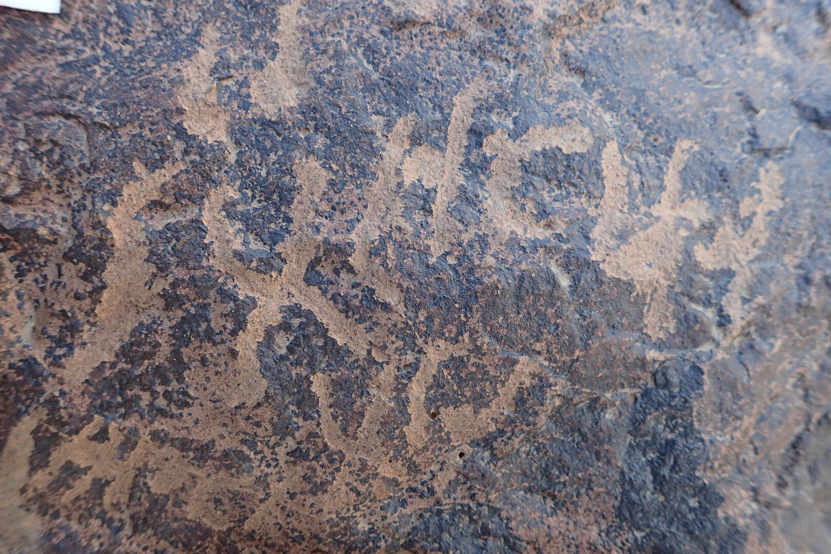 Image of siglum BES20 1594