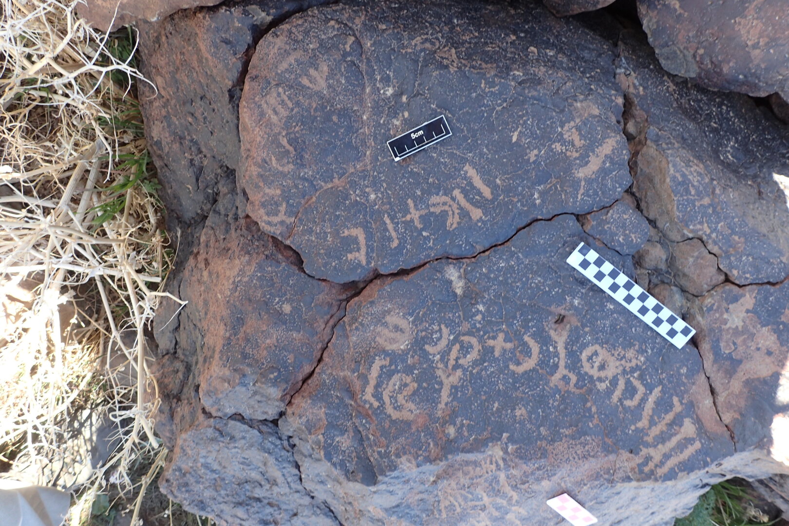 Image of siglum BES20 1595