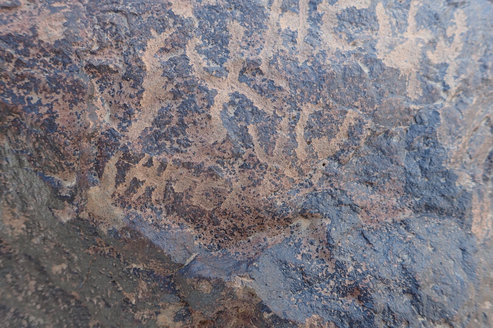 Image of siglum BES20 1595