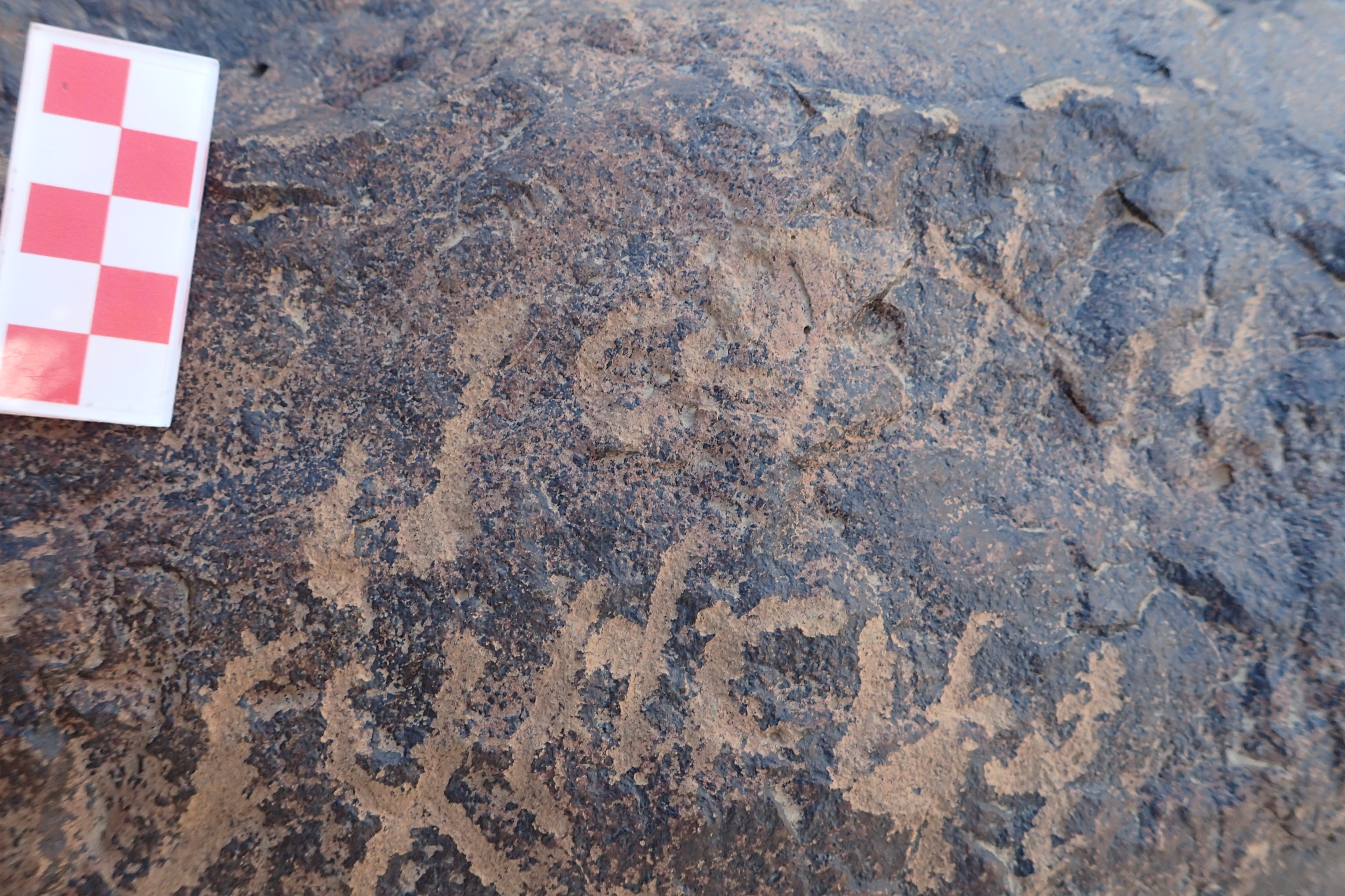 Image of siglum BES20 1596