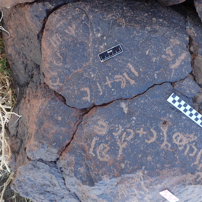 Image of siglum BES20 1596