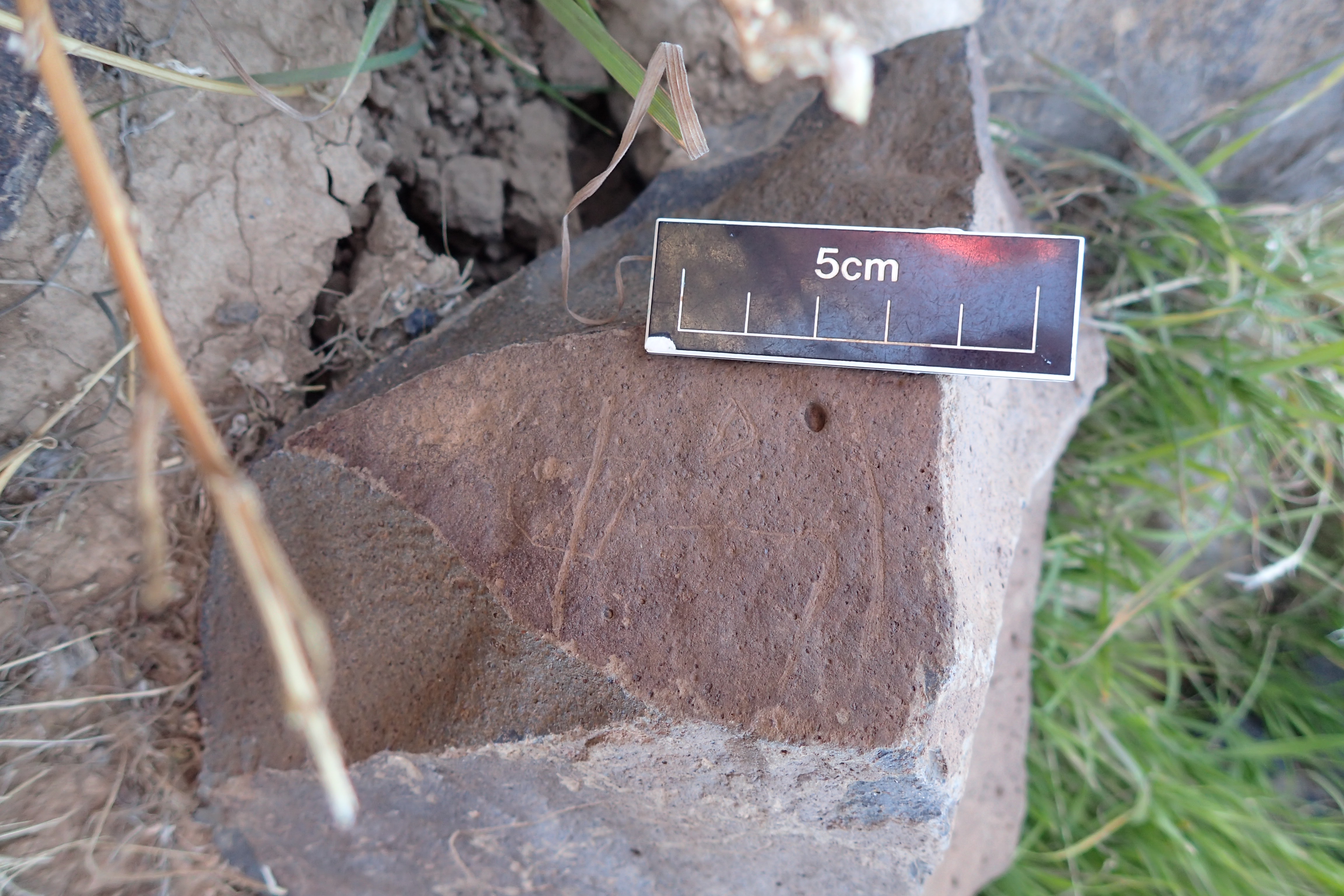 Image of siglum BES20 1597