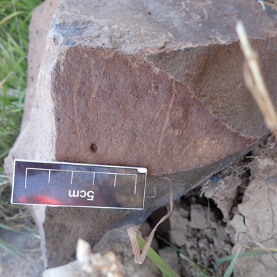 Image of siglum BES20 1597