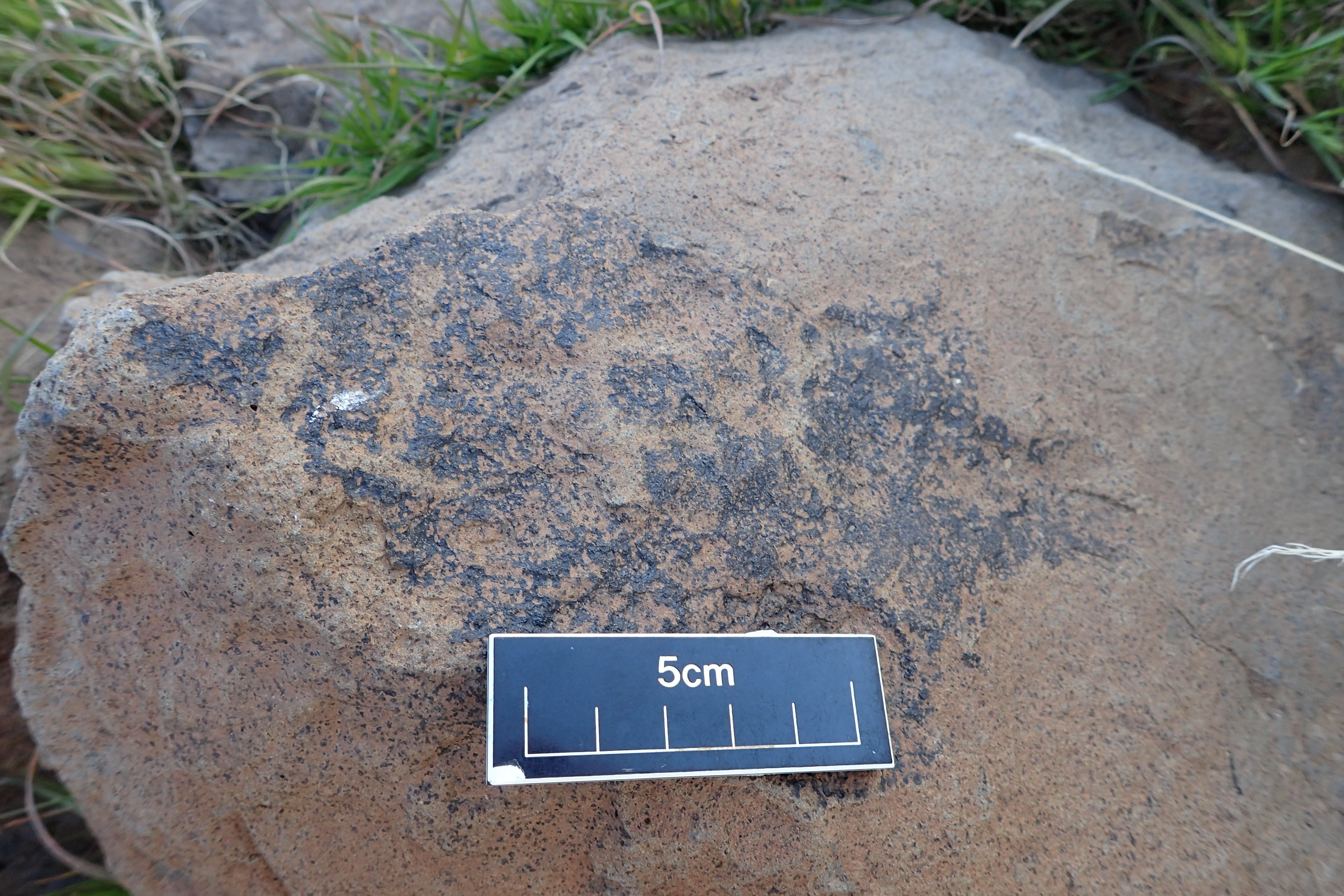 Image of siglum BES20 1598