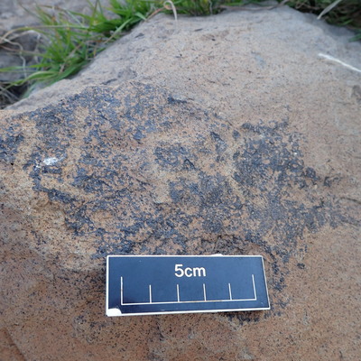 Image of siglum BES20 1598