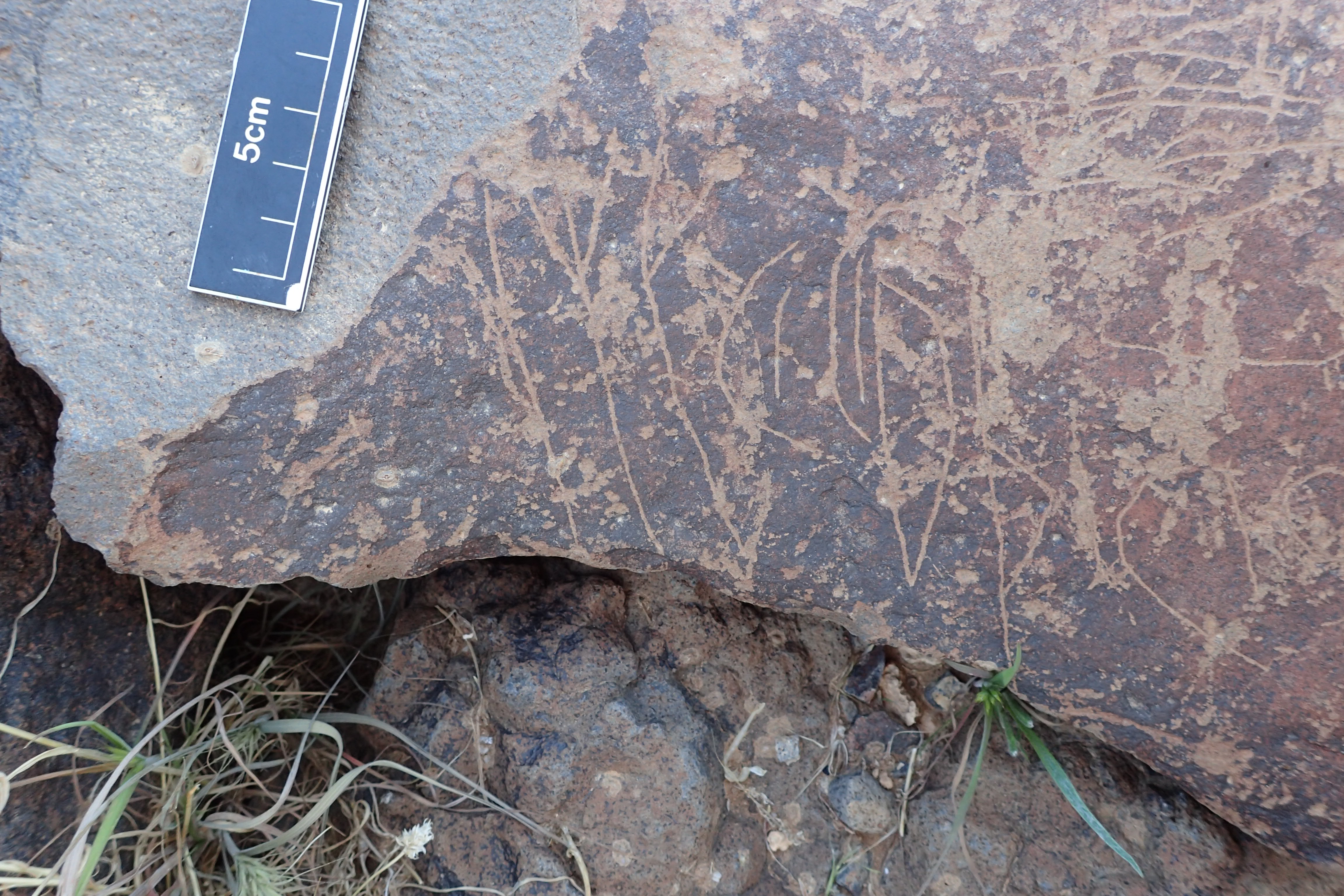 Image of siglum BES20 1599