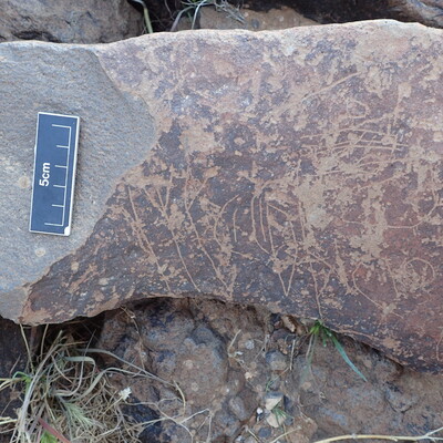 Image of siglum BES20 1599