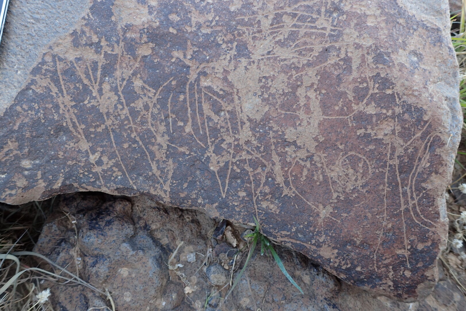 Image of siglum BES20 1599