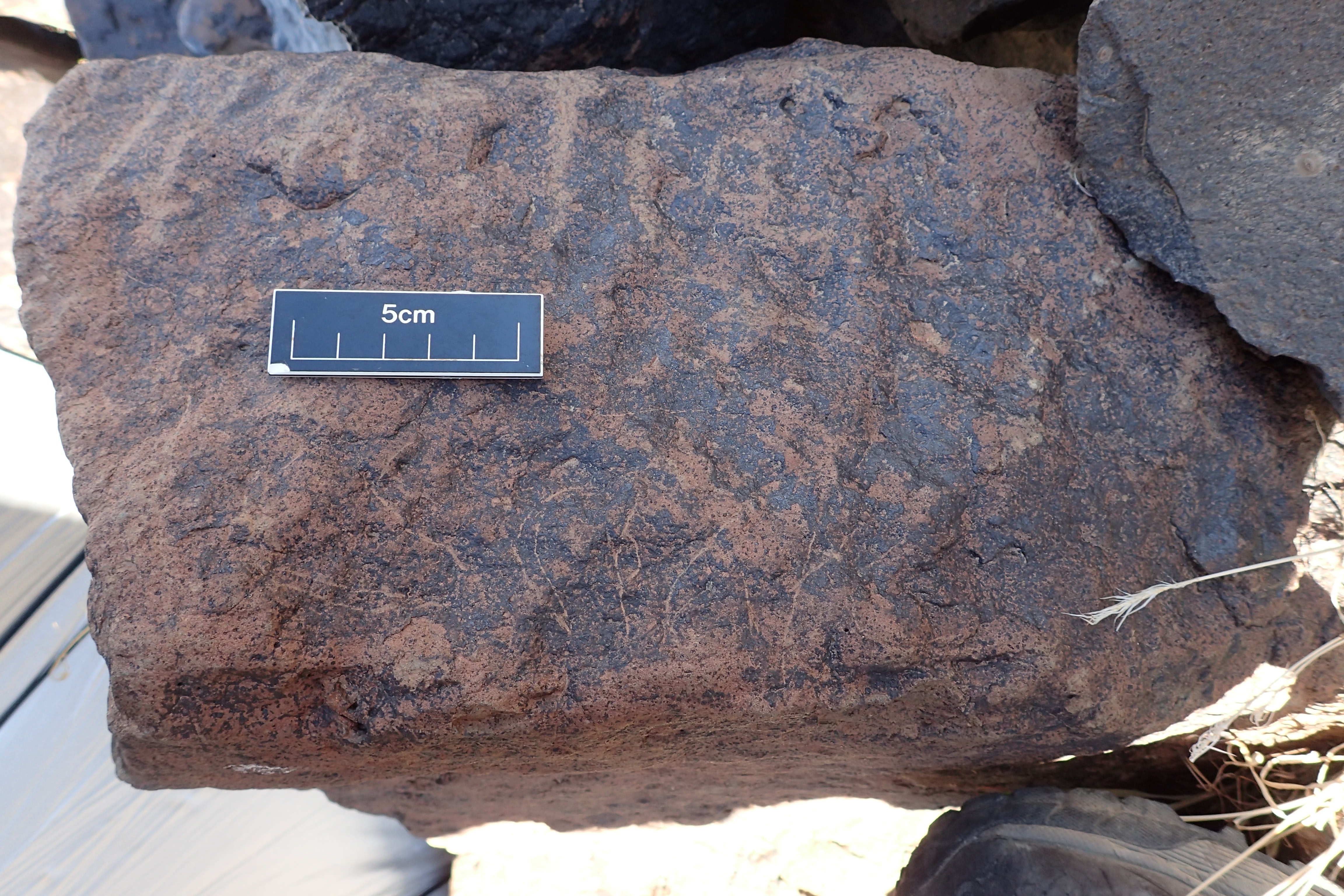 Image of siglum BES20 1600