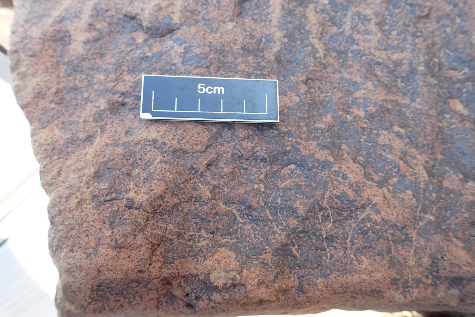 Image of siglum BES20 1600