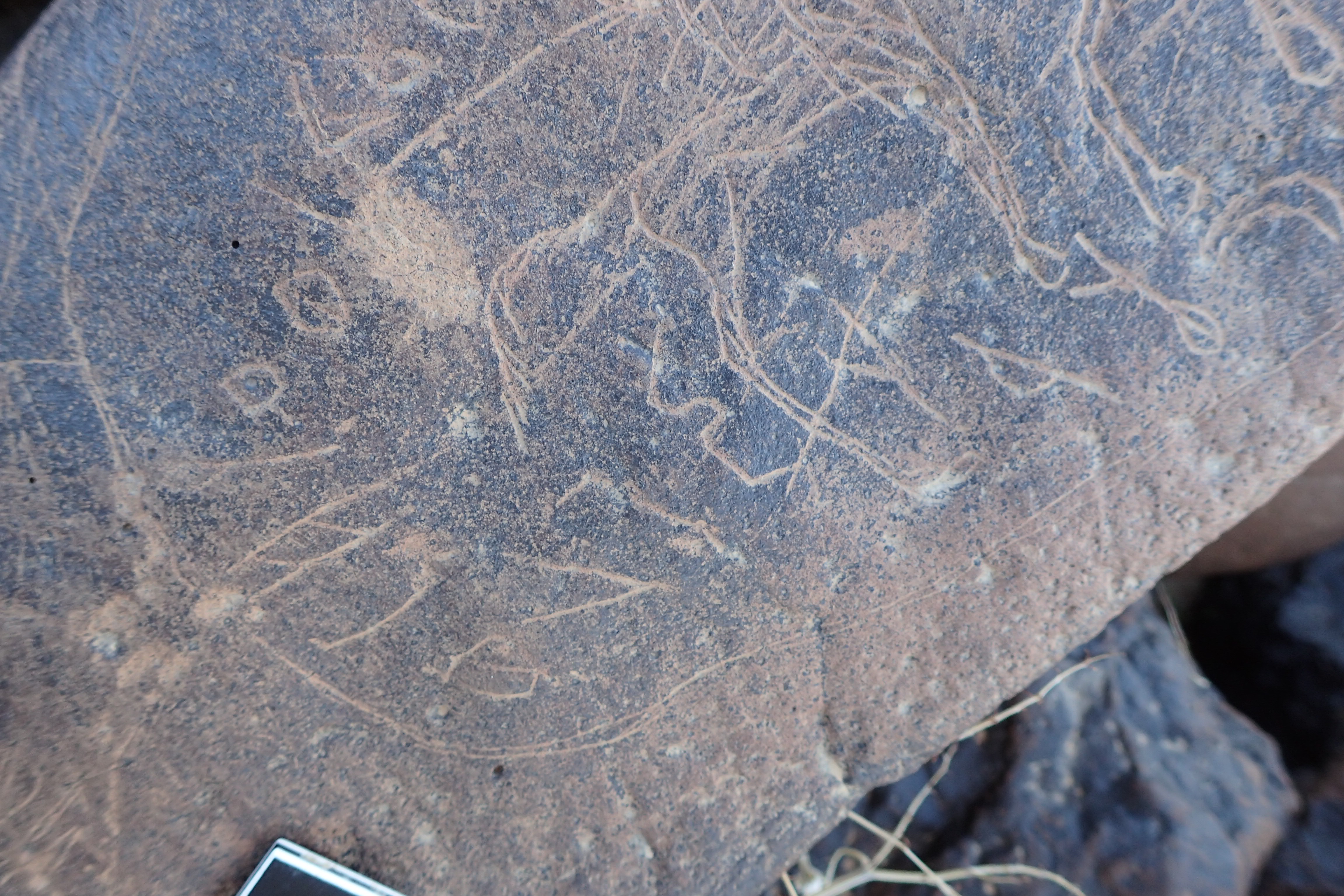 Image of siglum BES20 1601