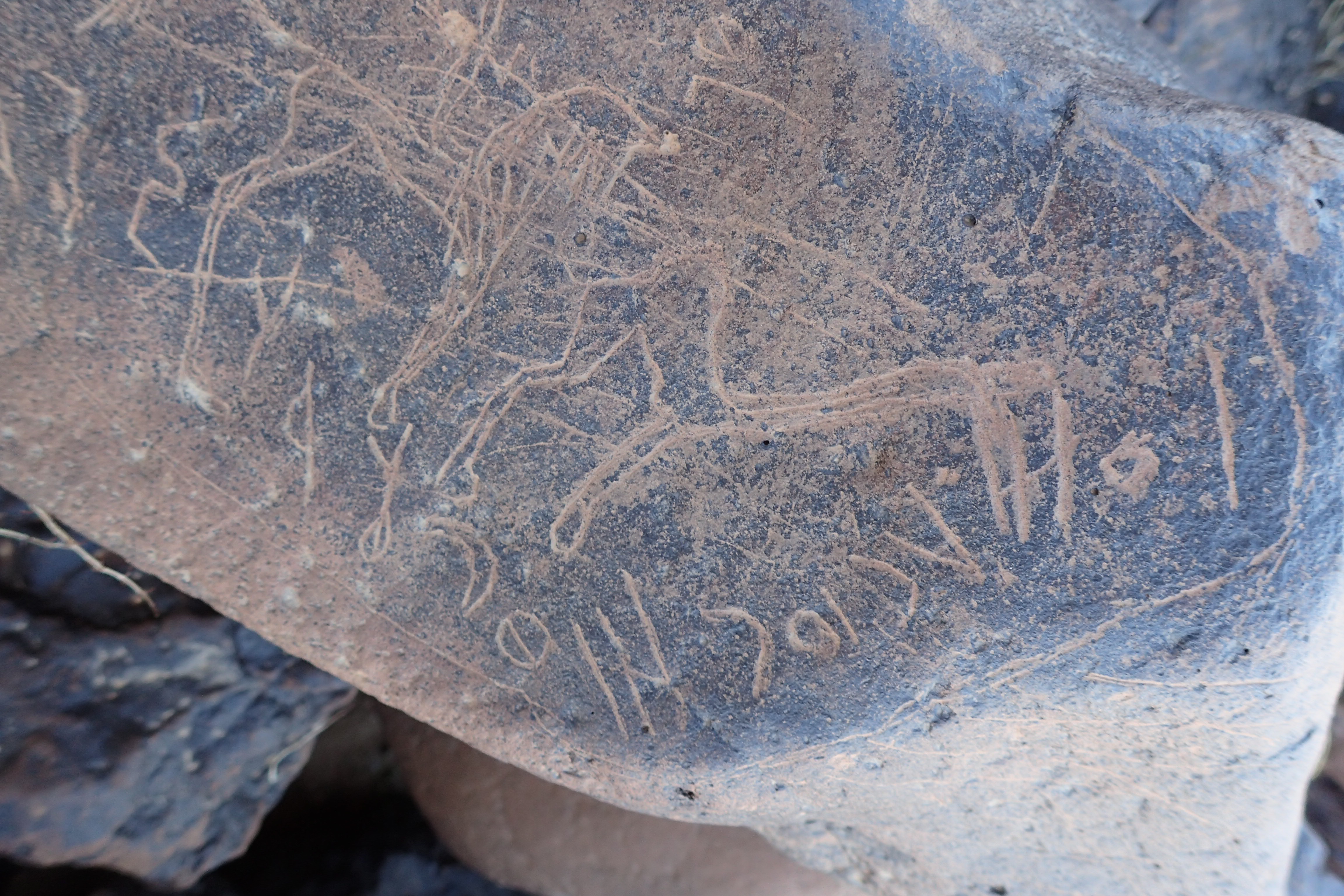 Image of siglum BES20 1601