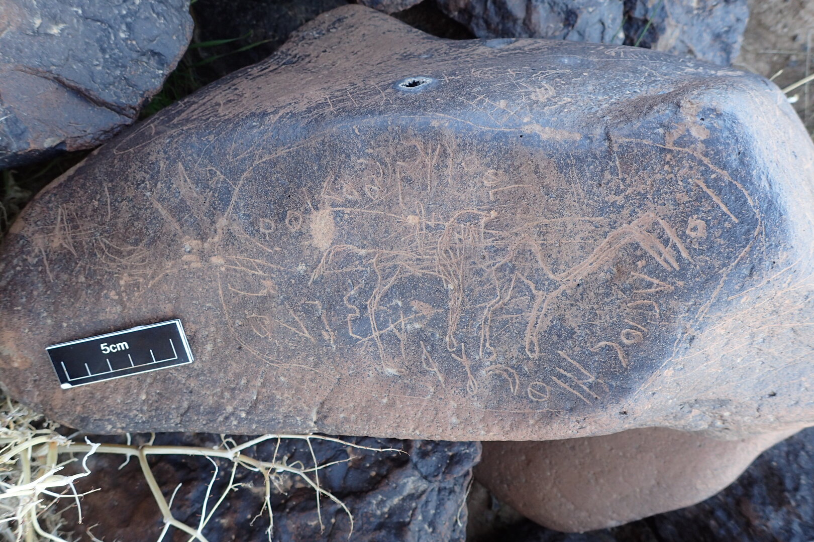 Image of siglum BES20 1601
