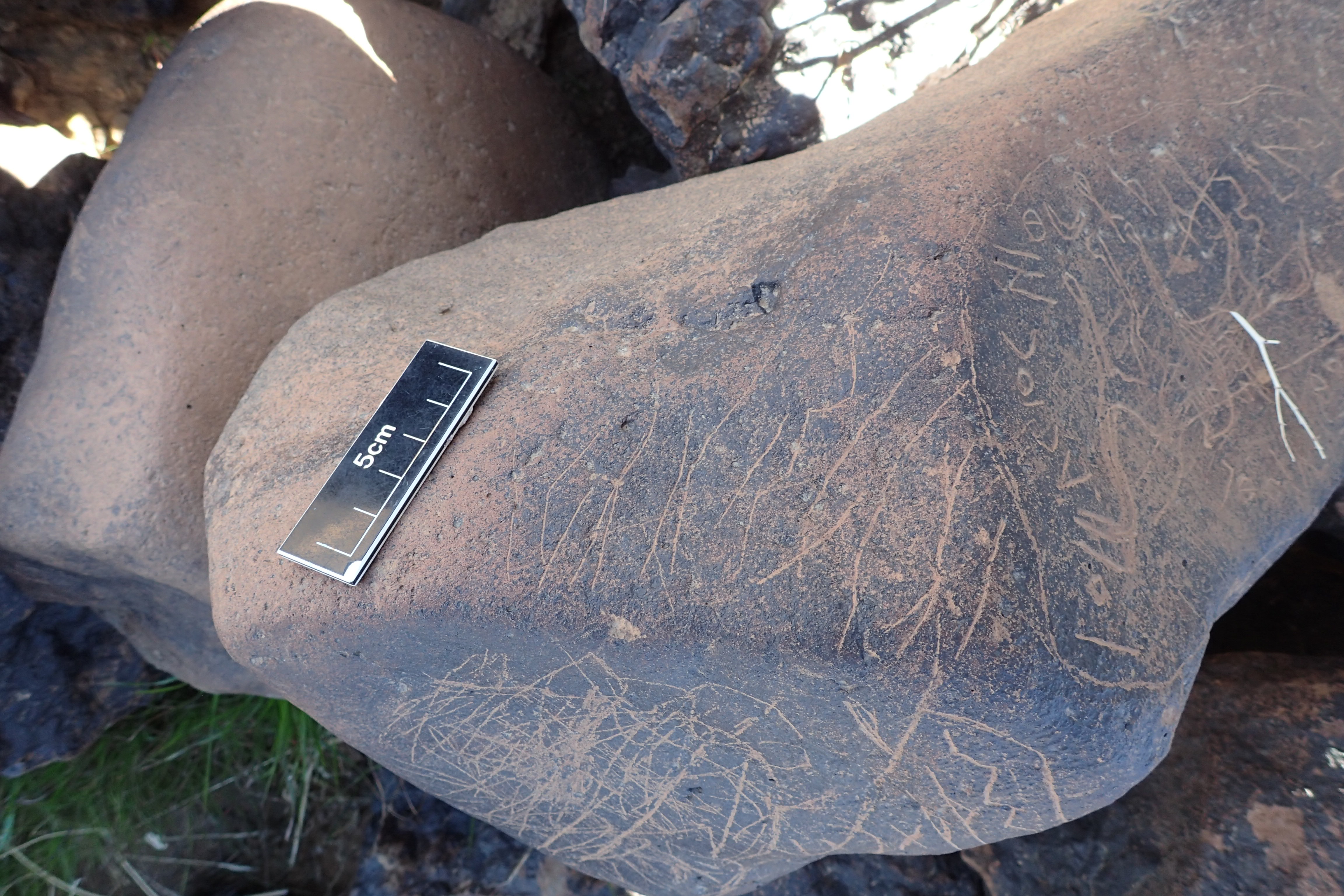 Image of siglum BES20 1602