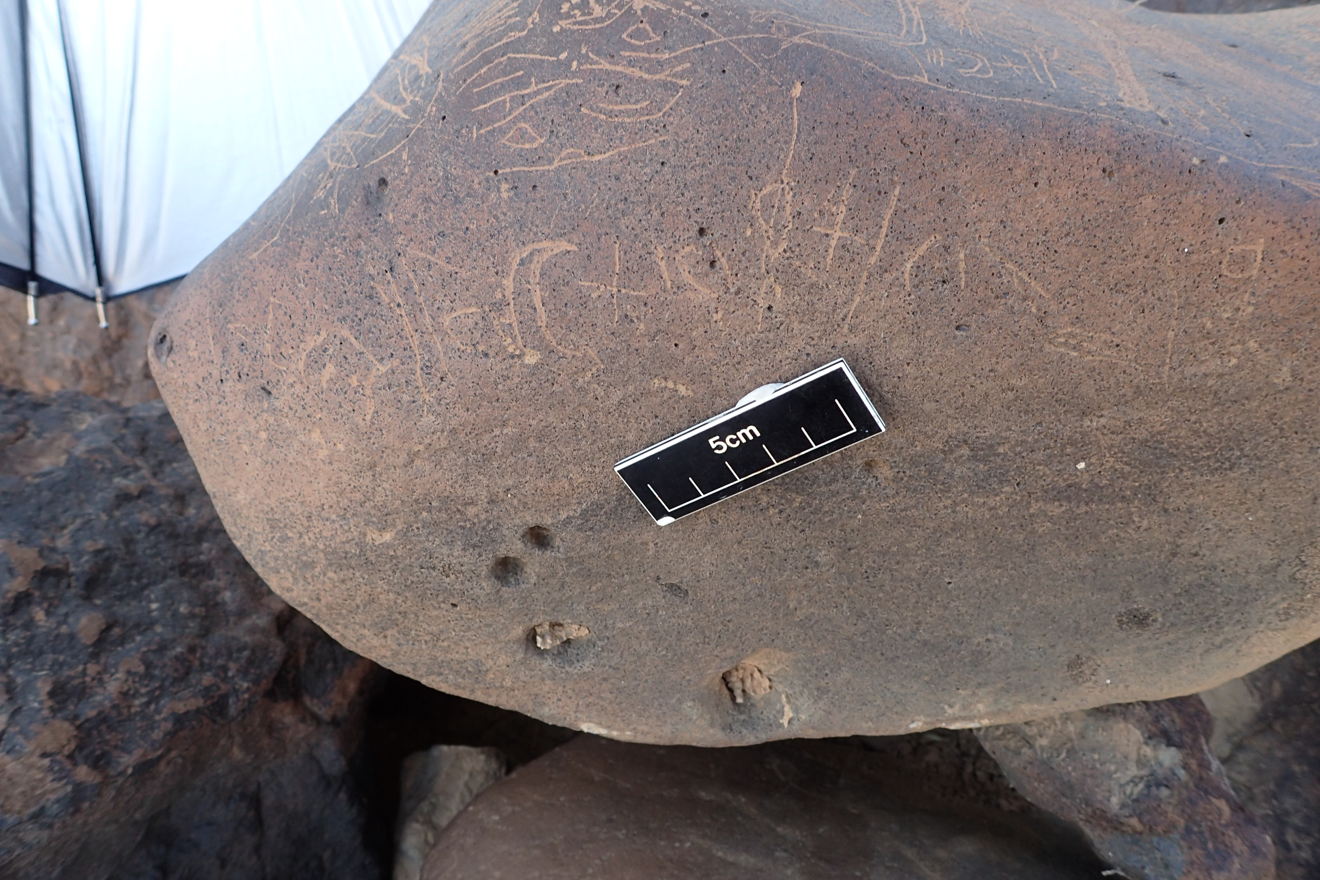 Image of siglum BES20 1606