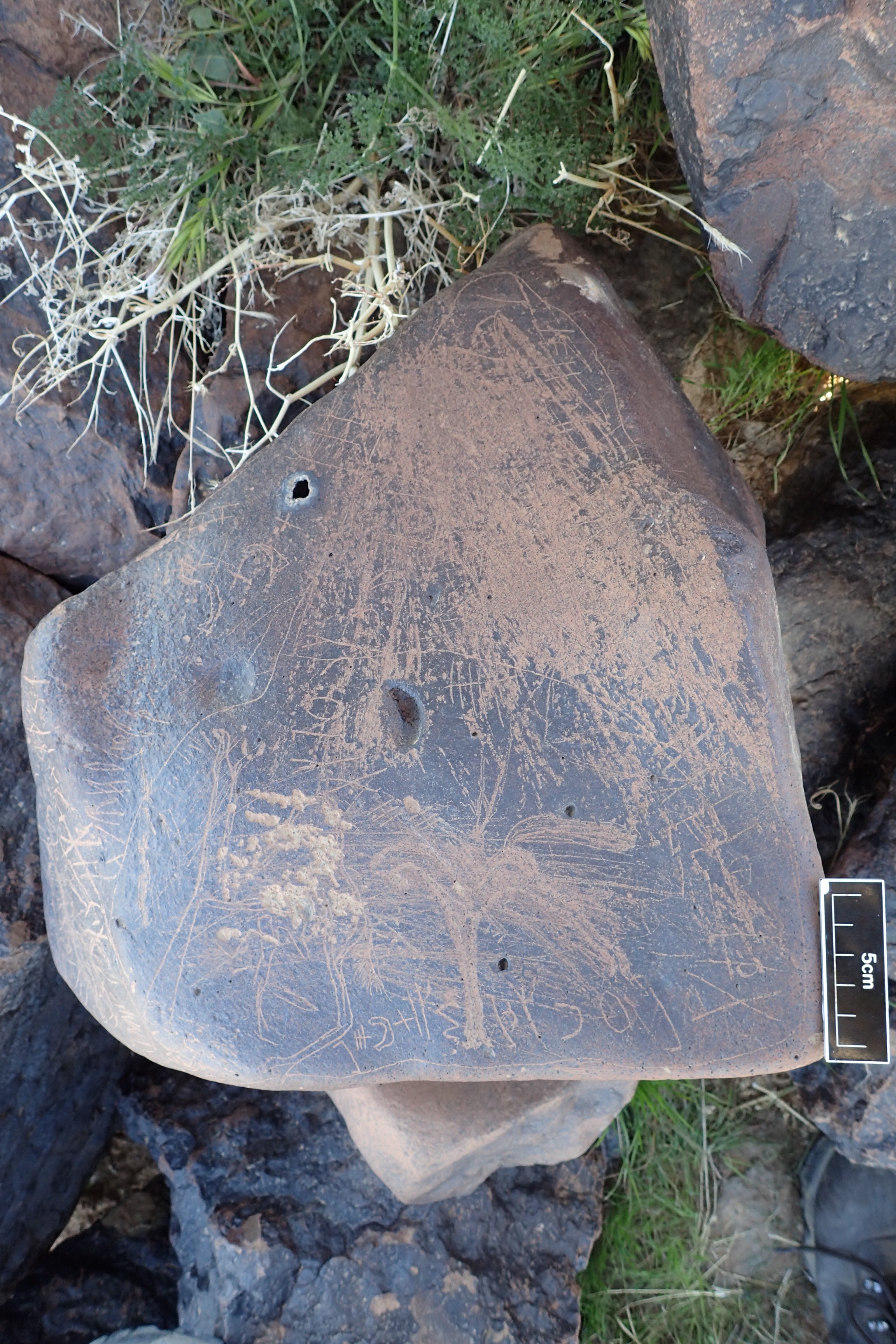 Image of siglum BES20 1607