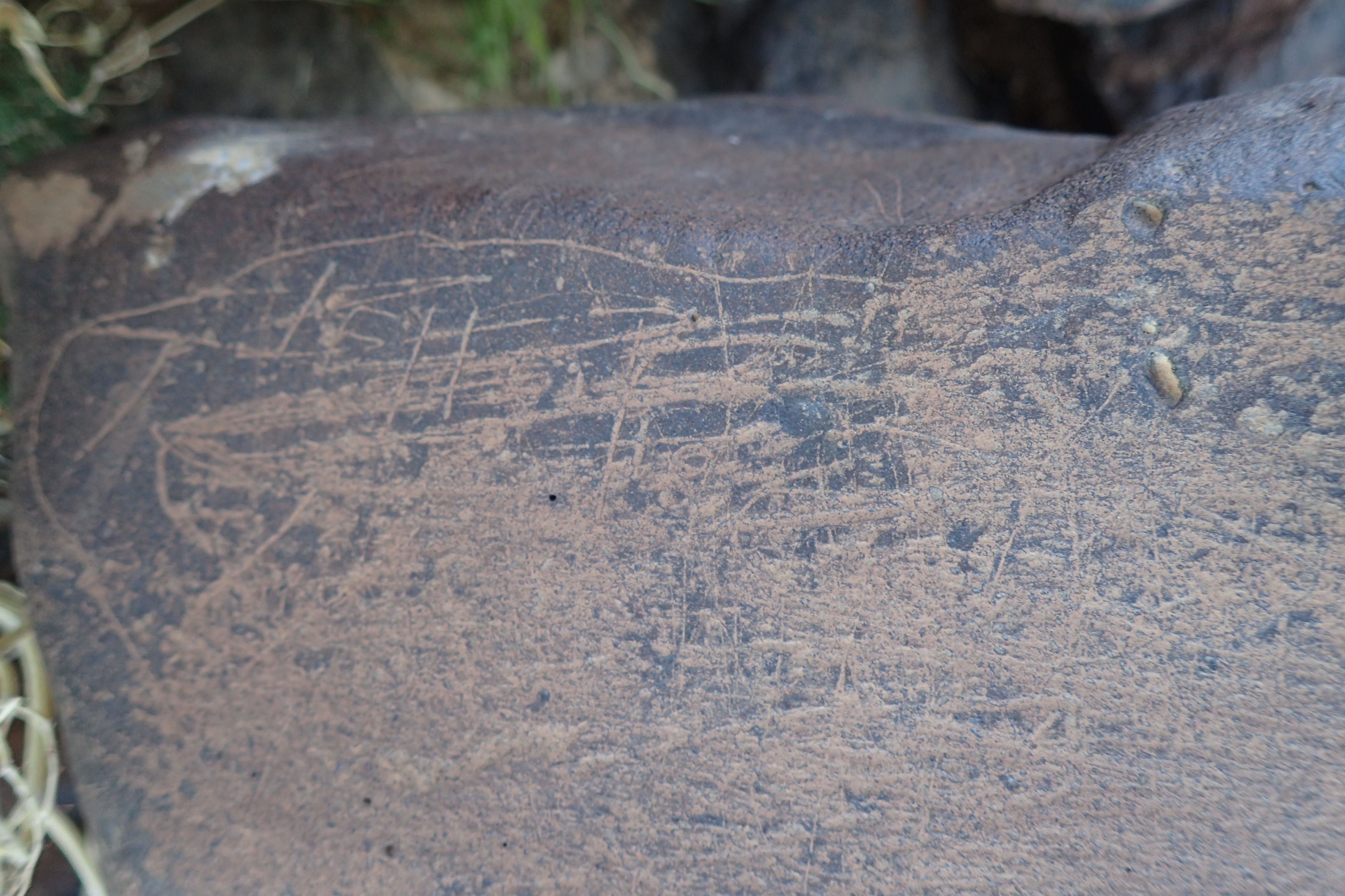 Image of siglum BES20 1607