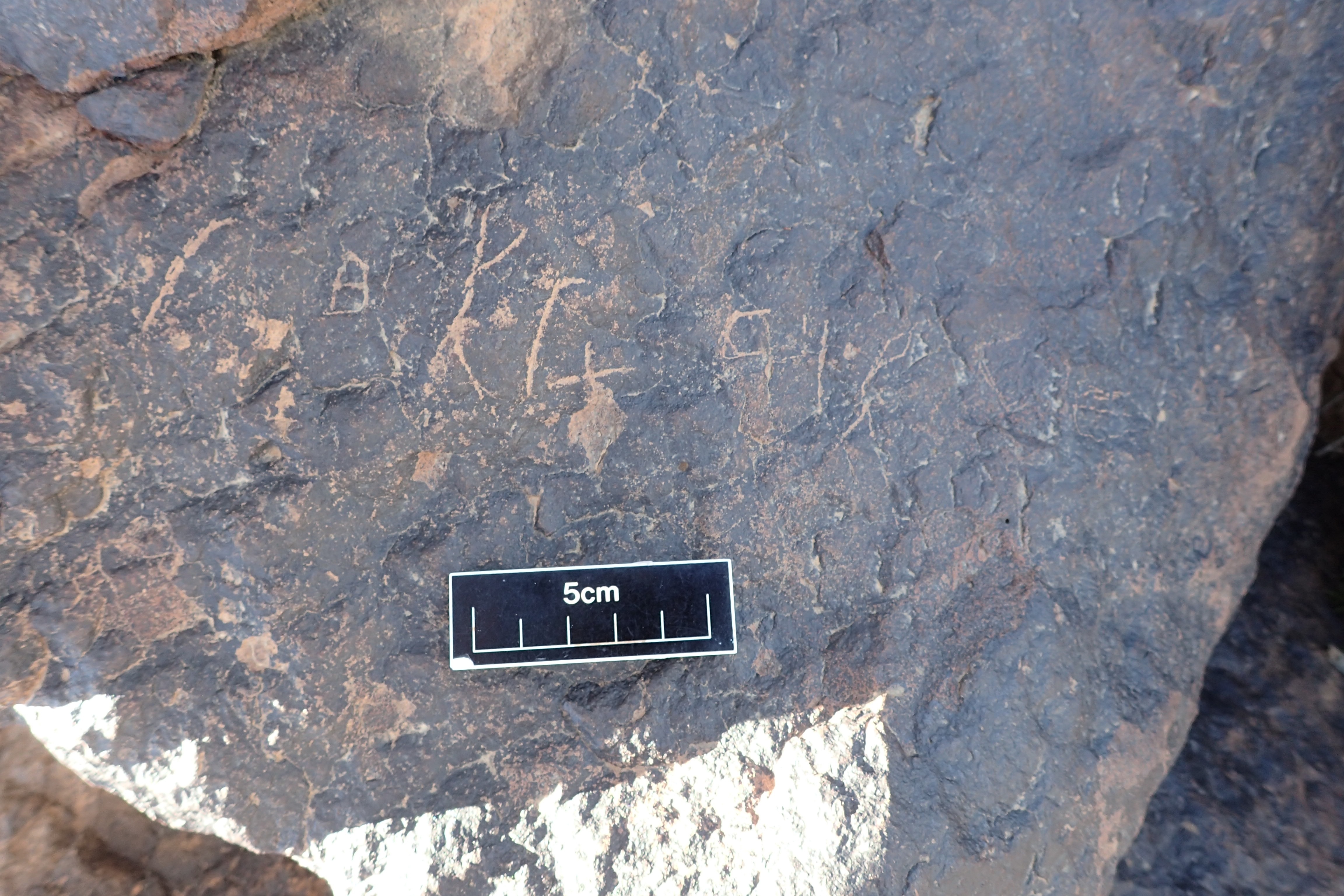 Image of siglum BES20 1609