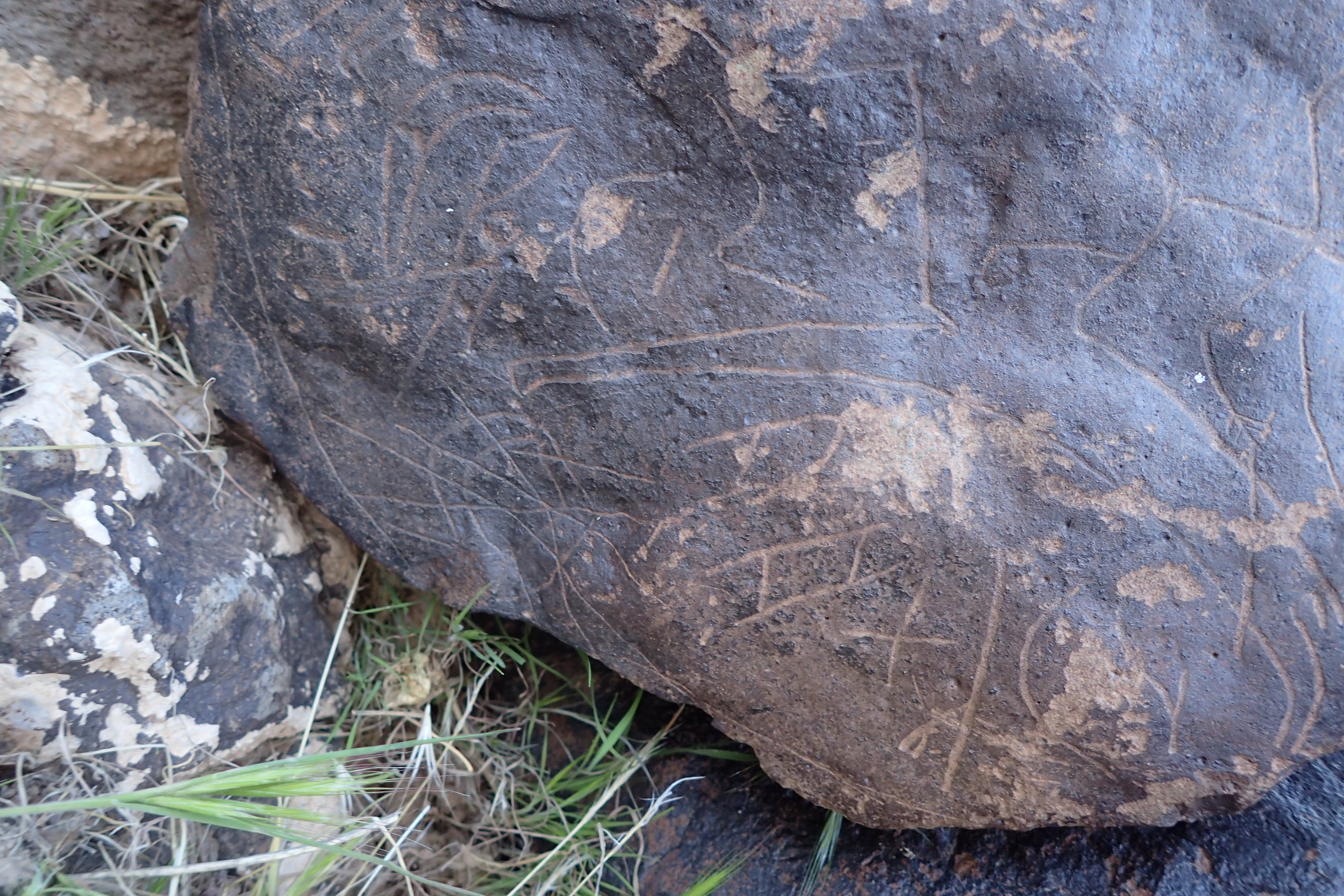 Image of siglum BES20 1610