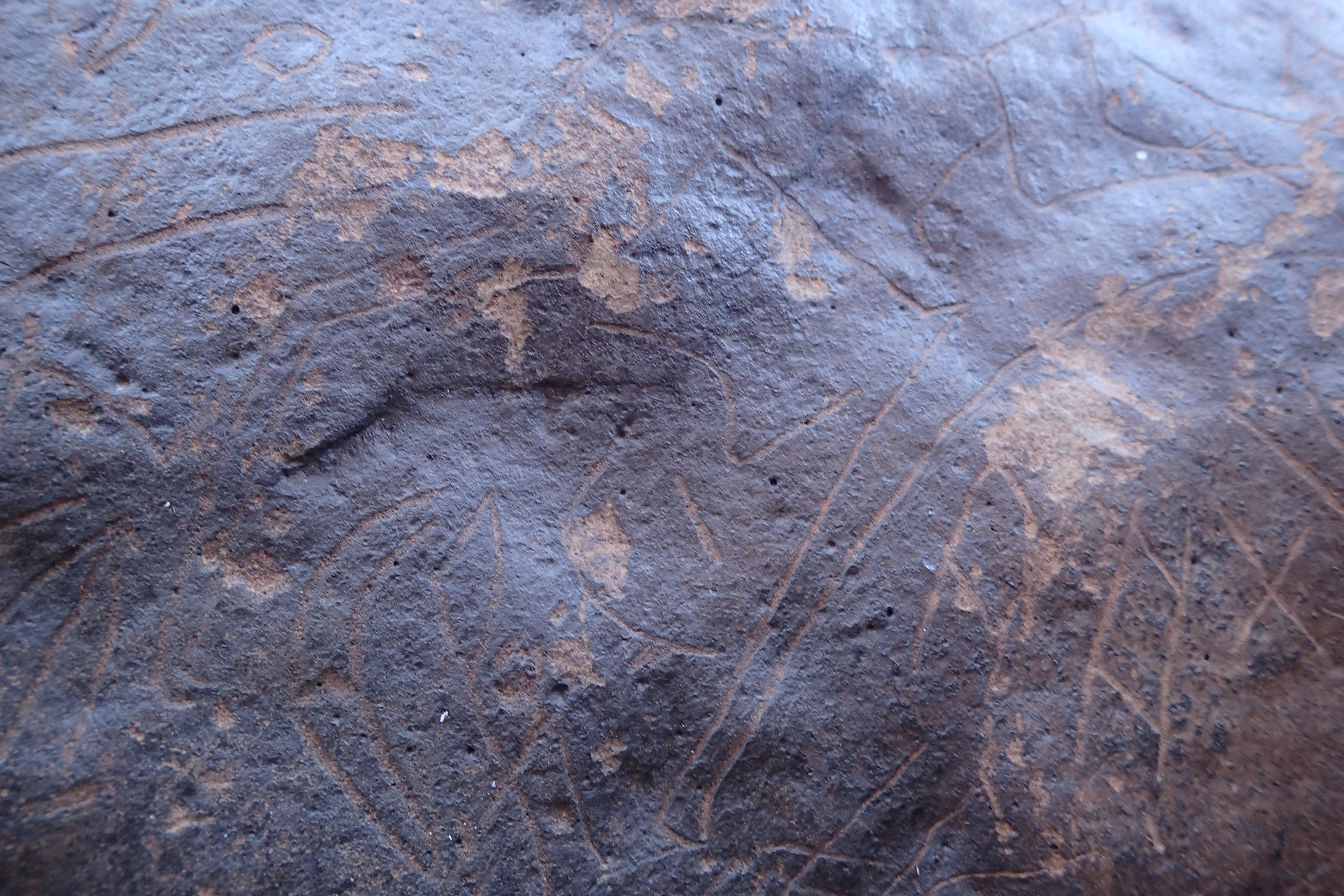 Image of siglum BES20 1610