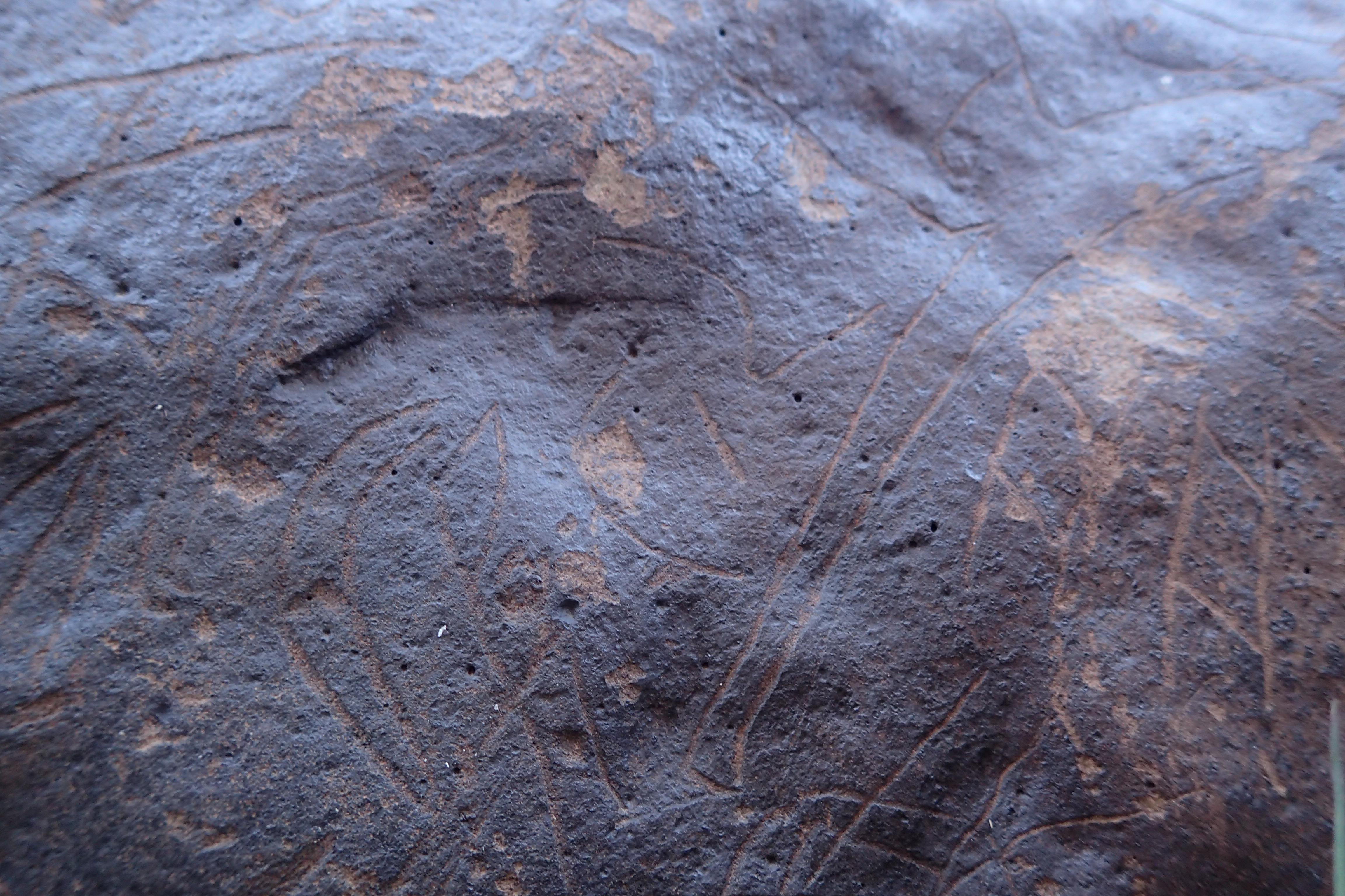 Image of siglum BES20 1610