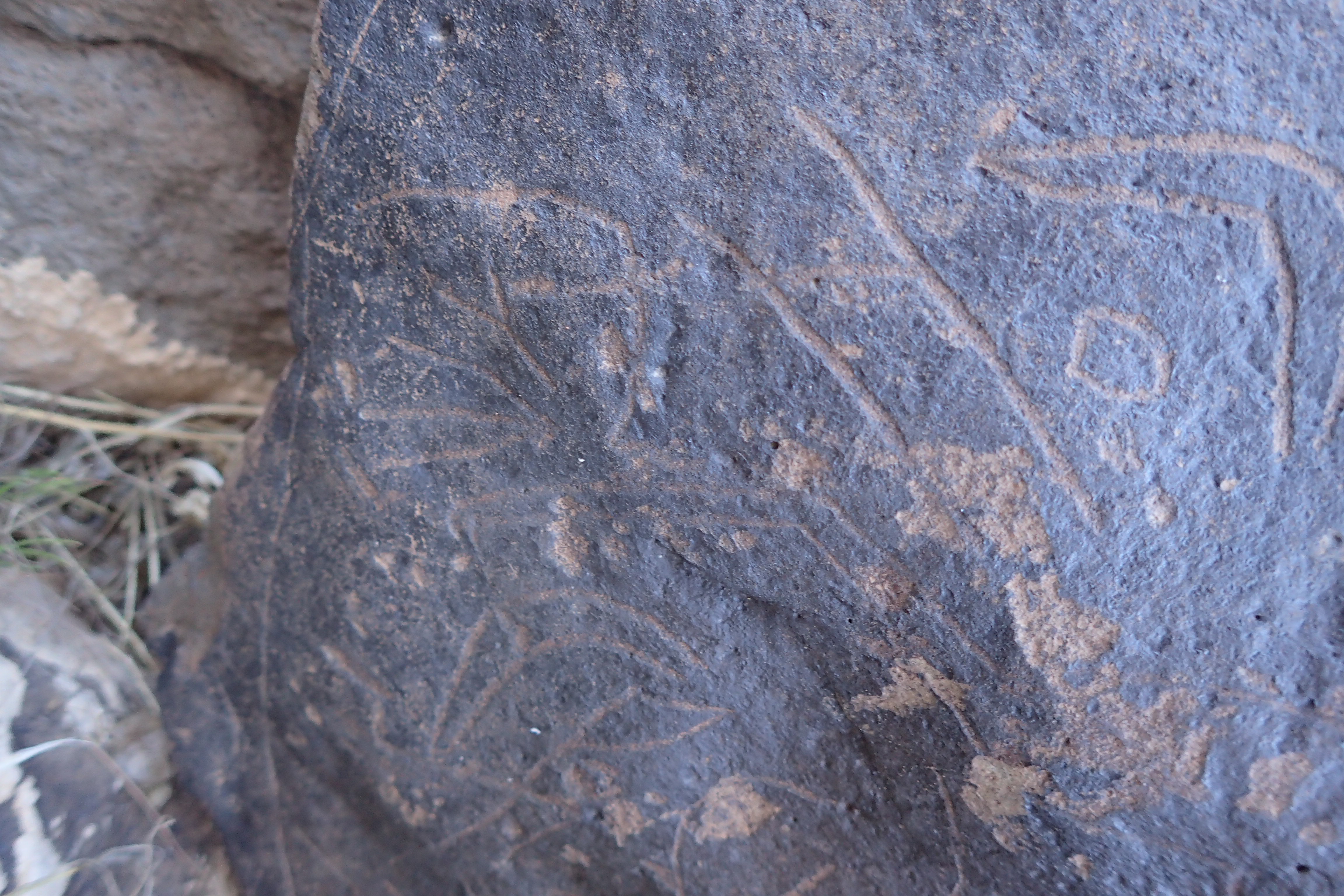 Image of siglum BES20 1610