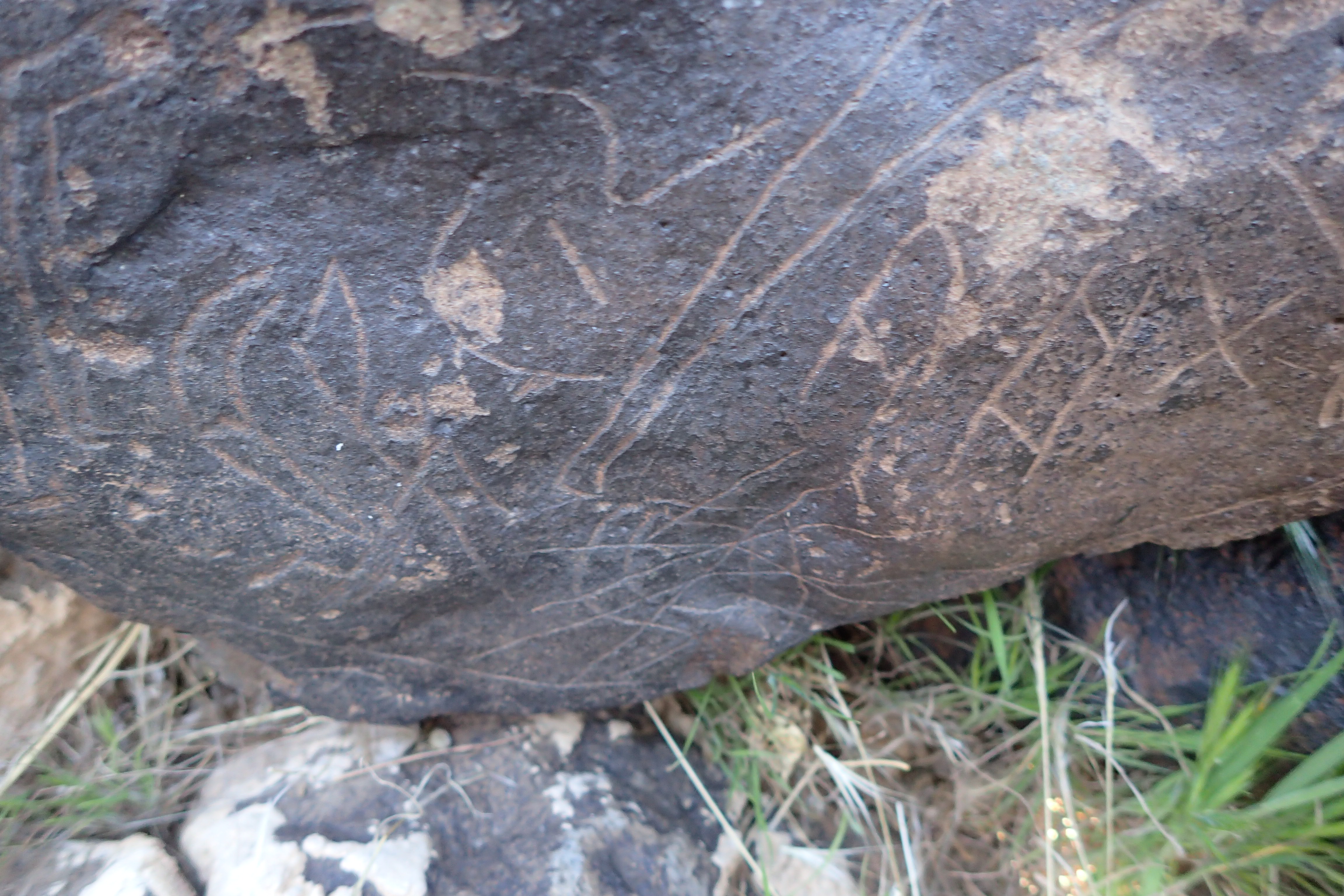 Image of siglum BES20 1610