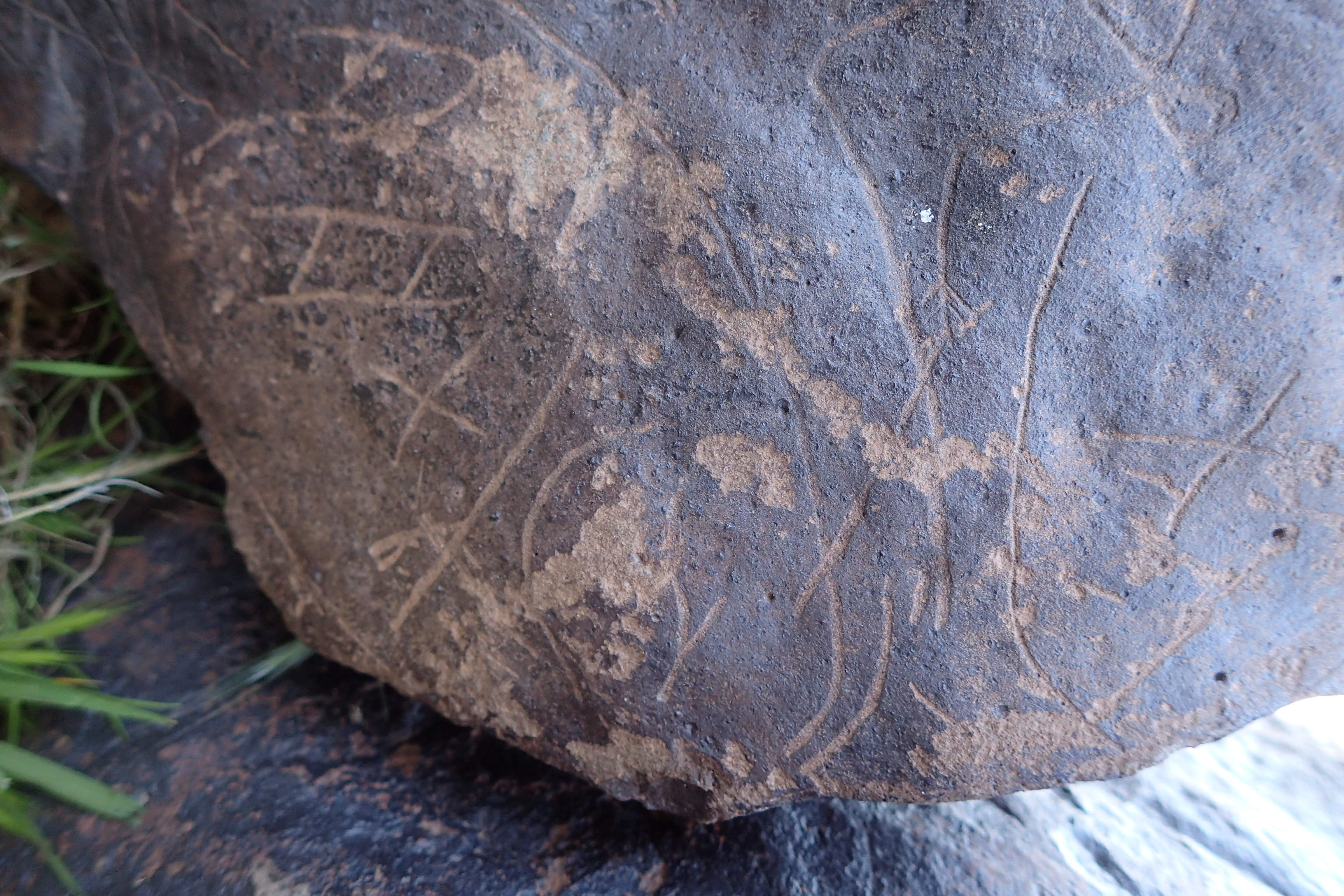 Image of siglum BES20 1610