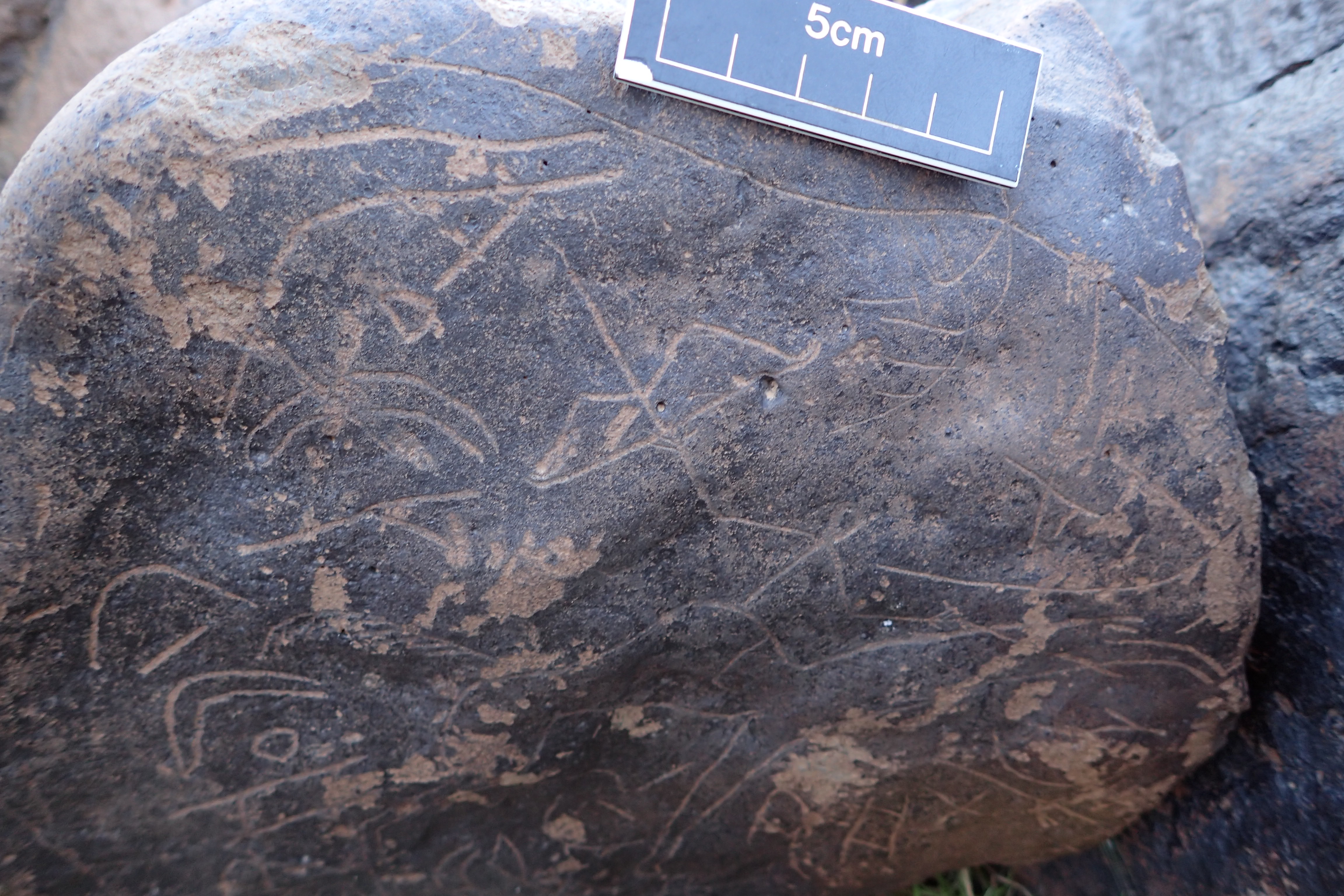 Image of siglum BES20 1610