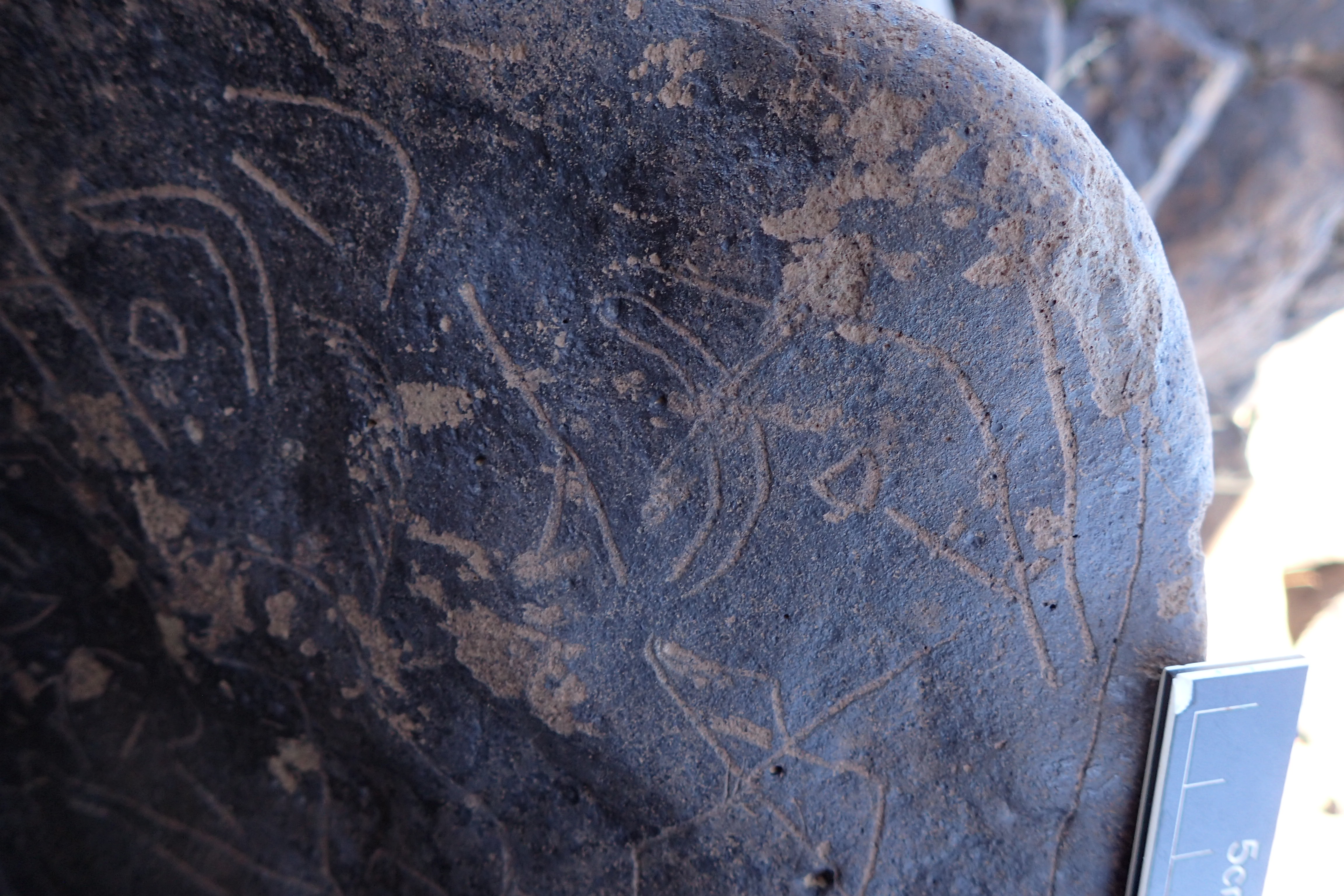 Image of siglum BES20 1610